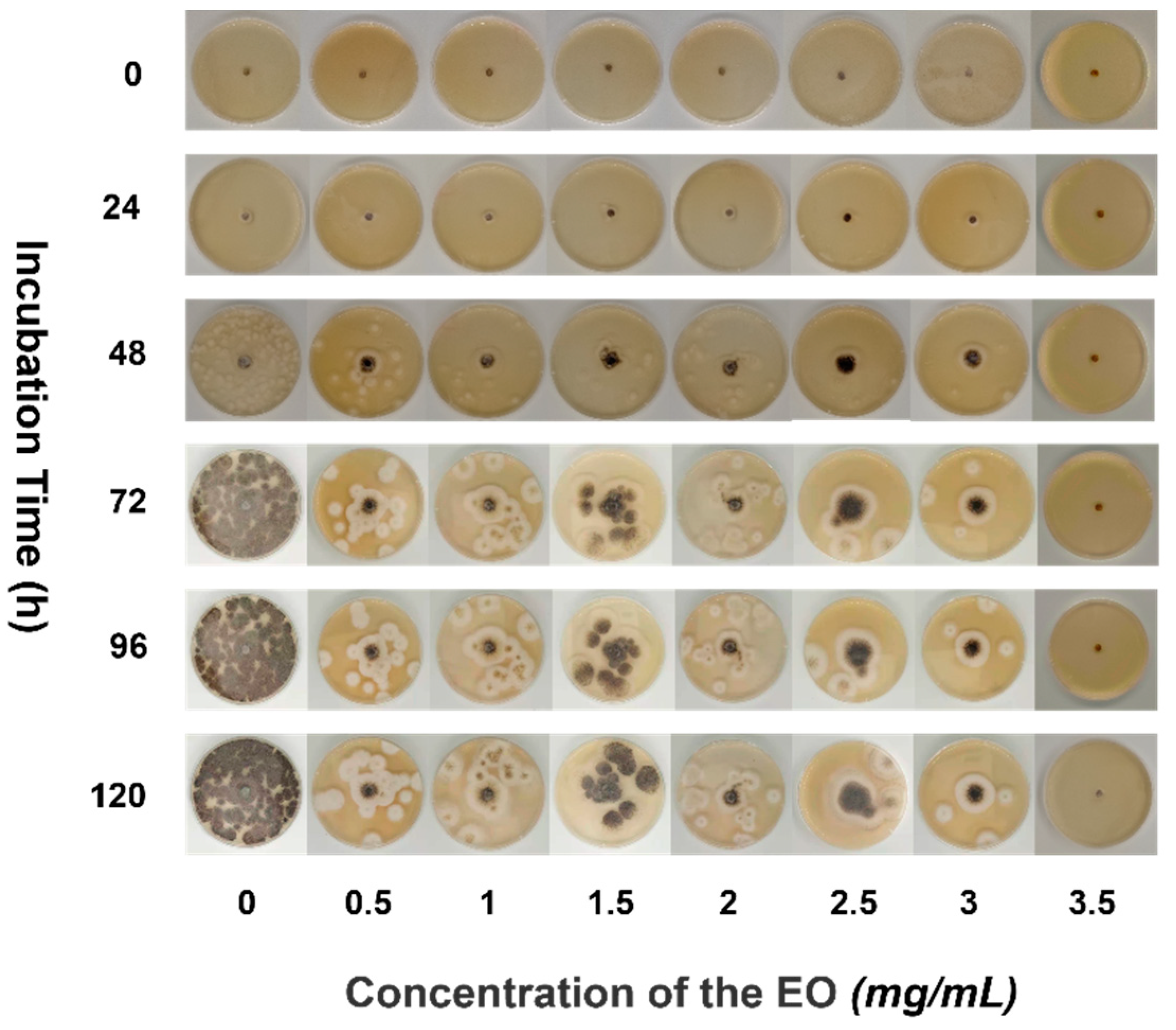 Separations 09 00161 g004 550