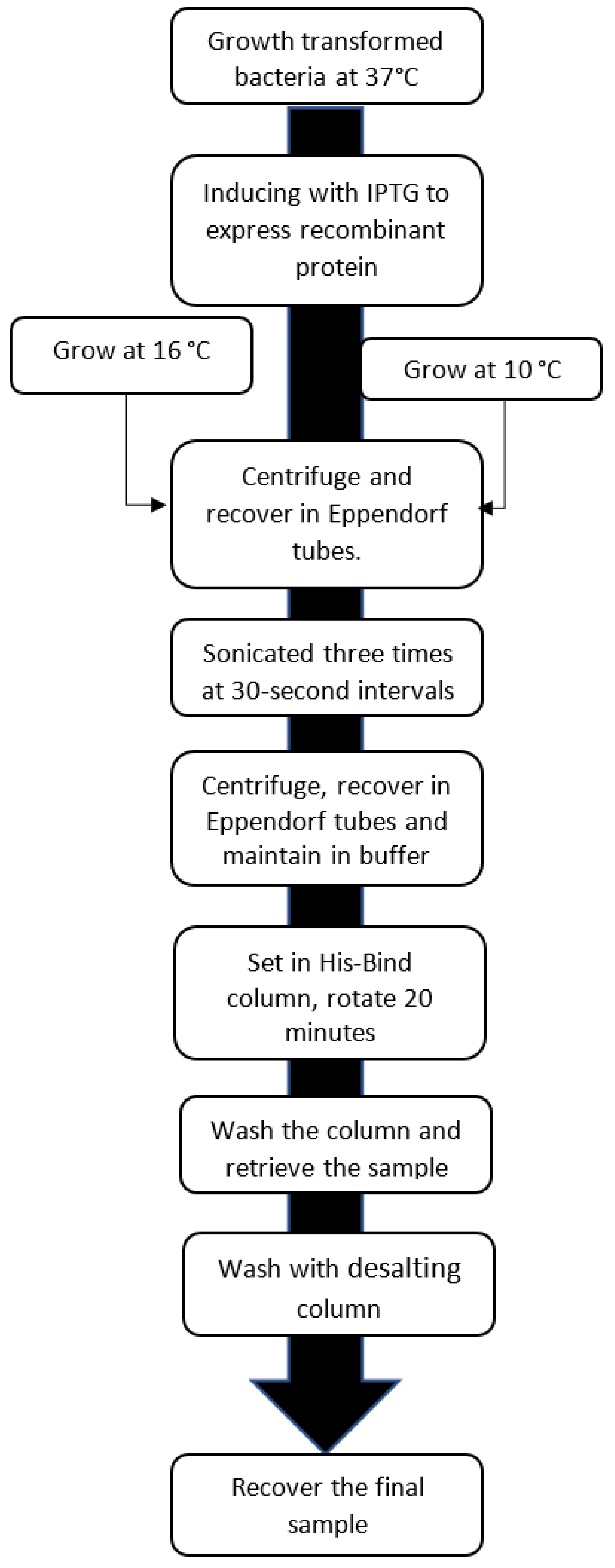 Separations 09 00164 g001
