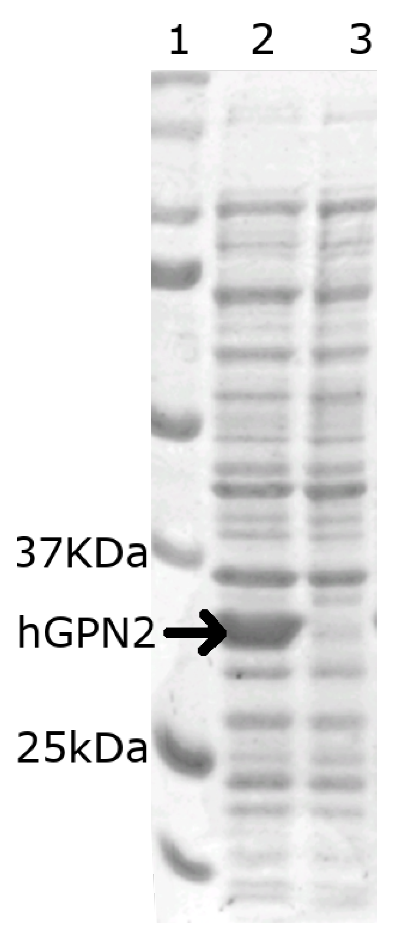 Separations 09 00164 g002