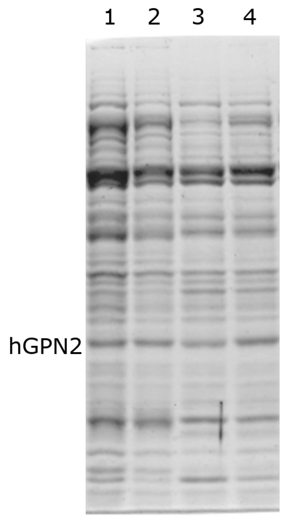 Separations 09 00164 g004