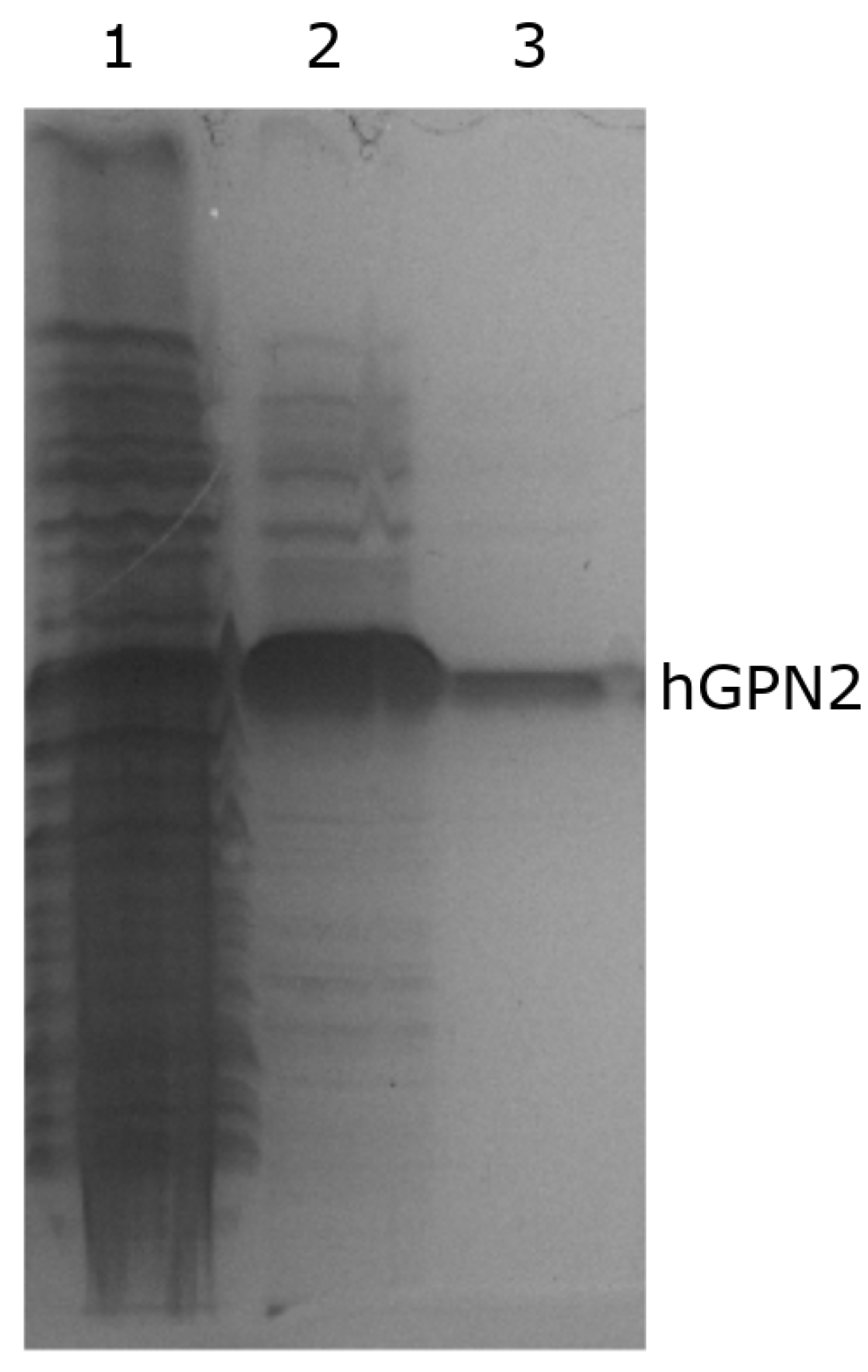 Separations 09 00164 g010