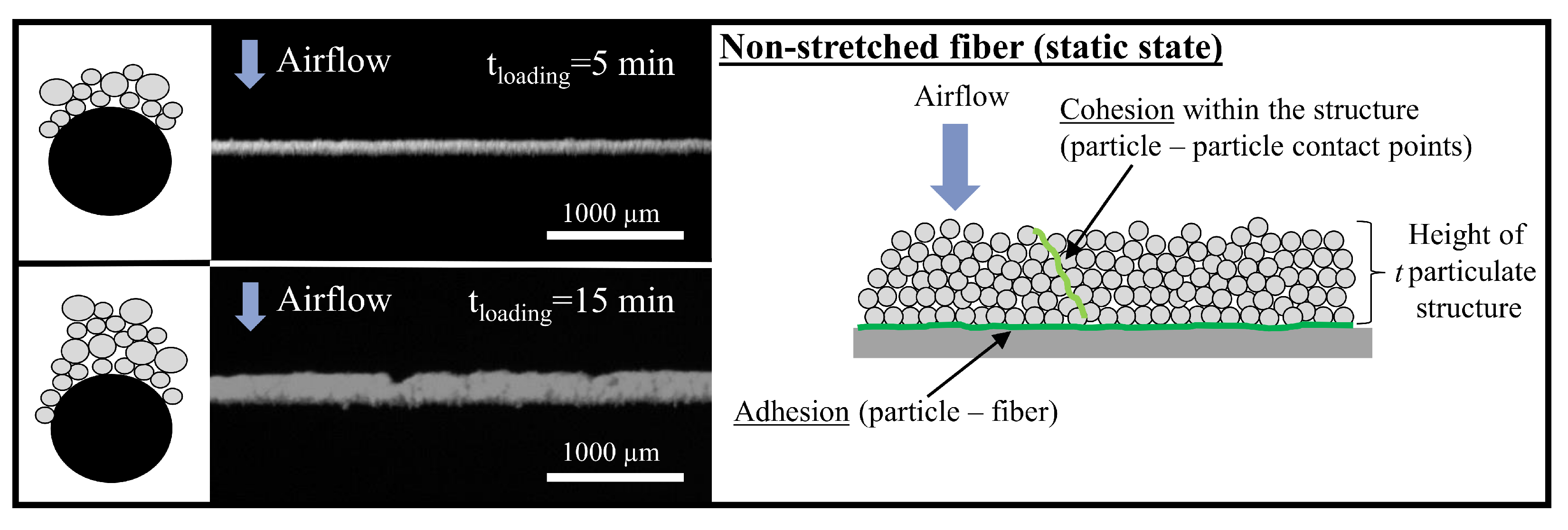 Separations 09 00168 g003 550