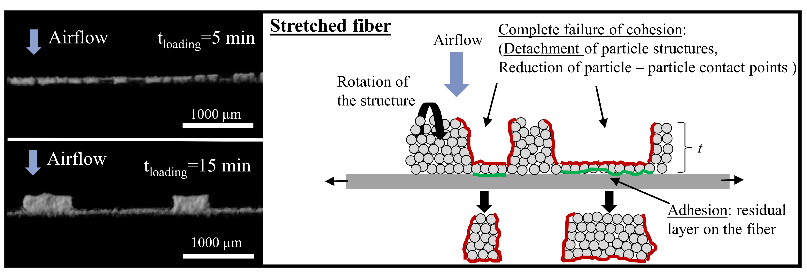 Separations 09 00168 g009 550