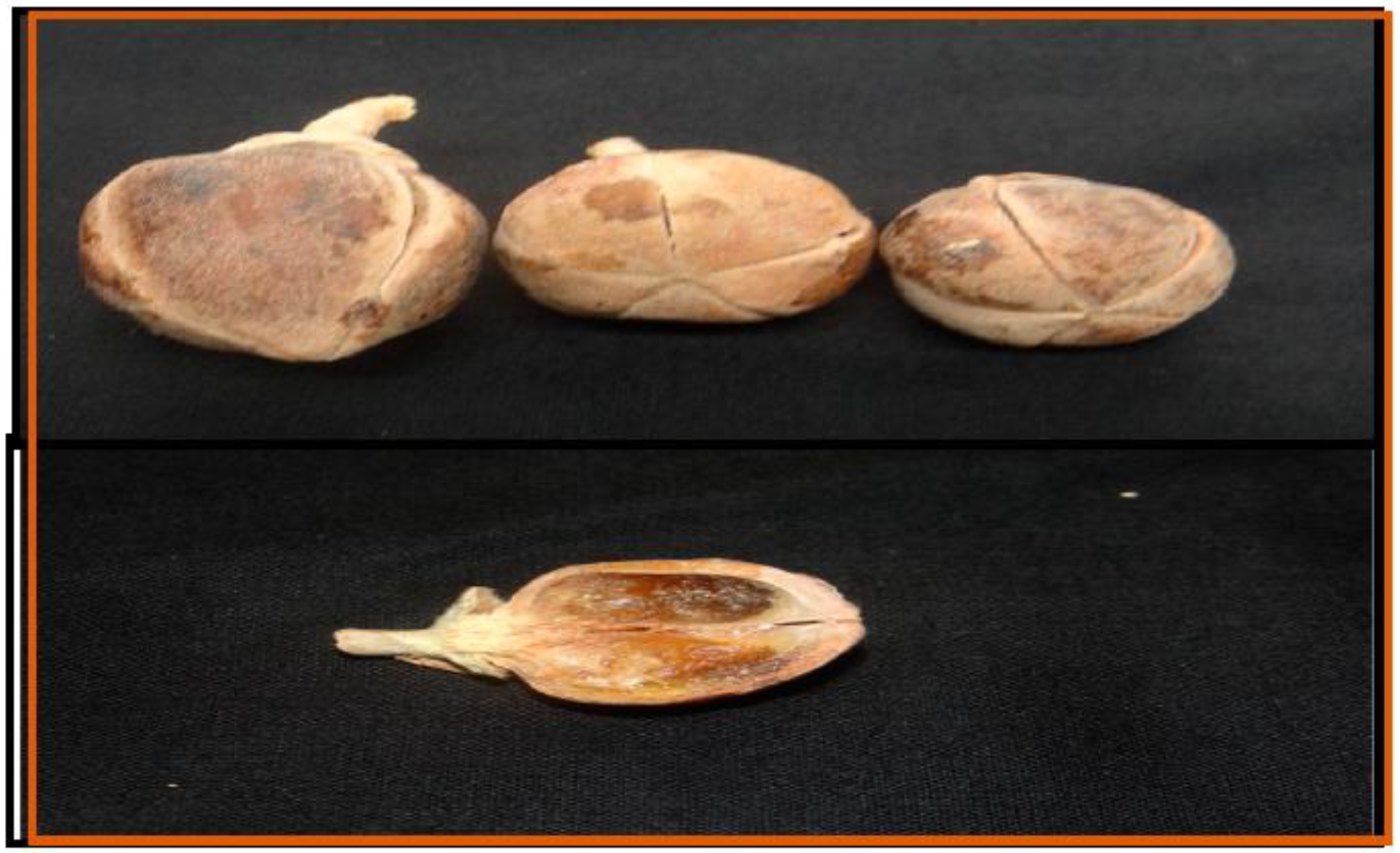 Separations 09 00172 g001 Separations 09 00172 g001