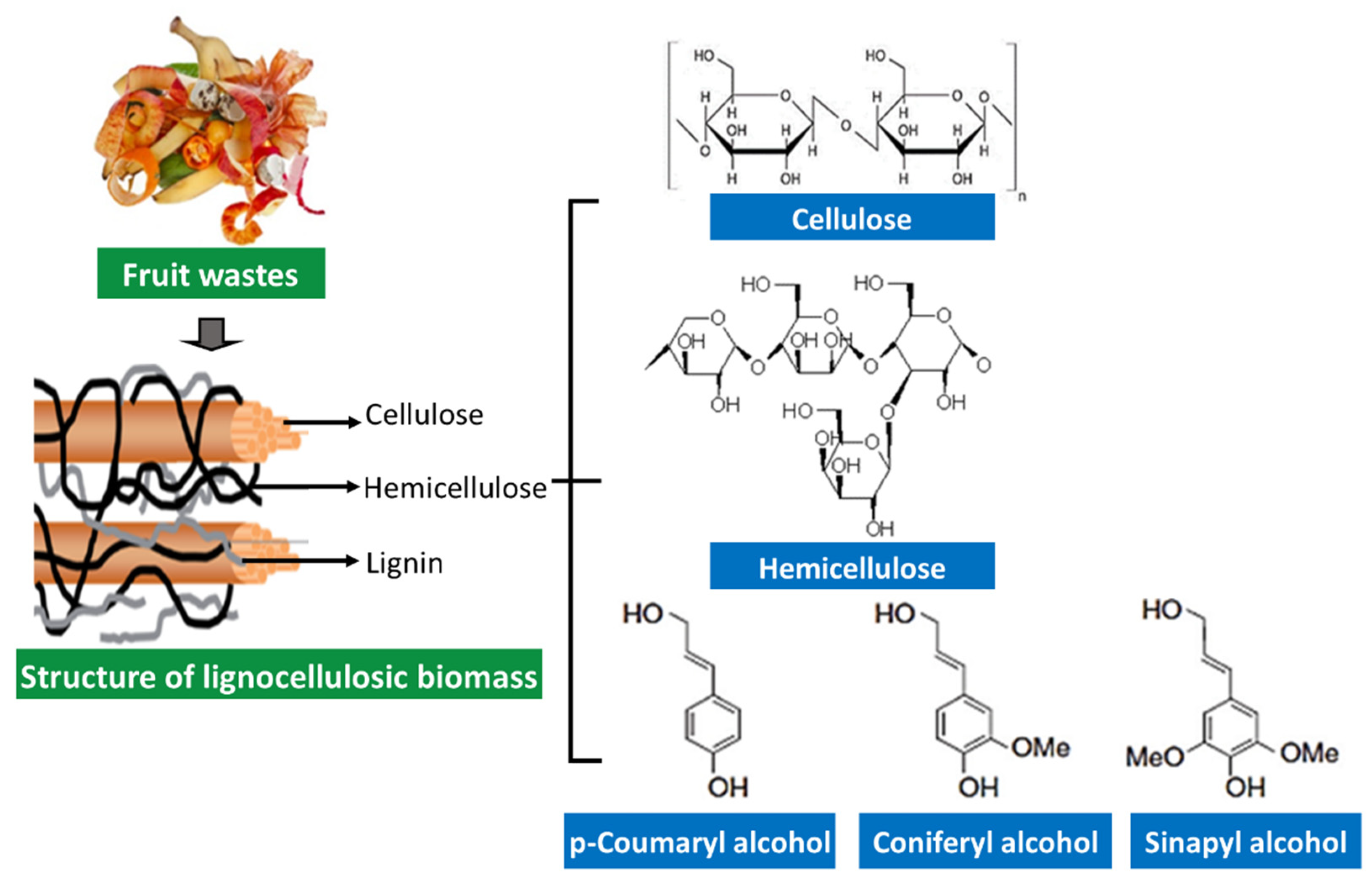 Separations 09 00178 g002 550