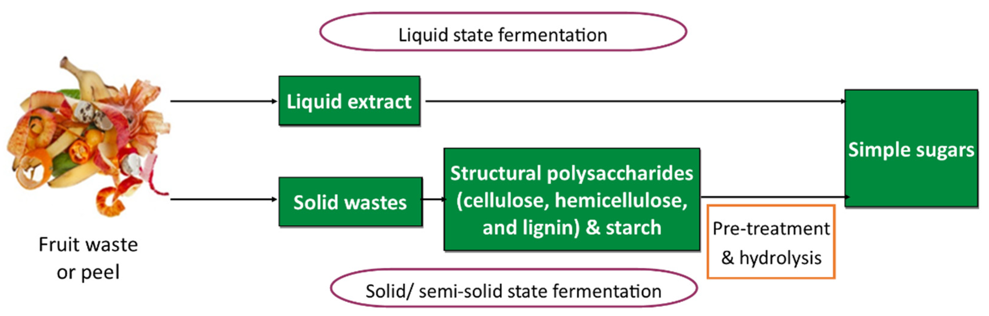 Separations 09 00178 g003 550