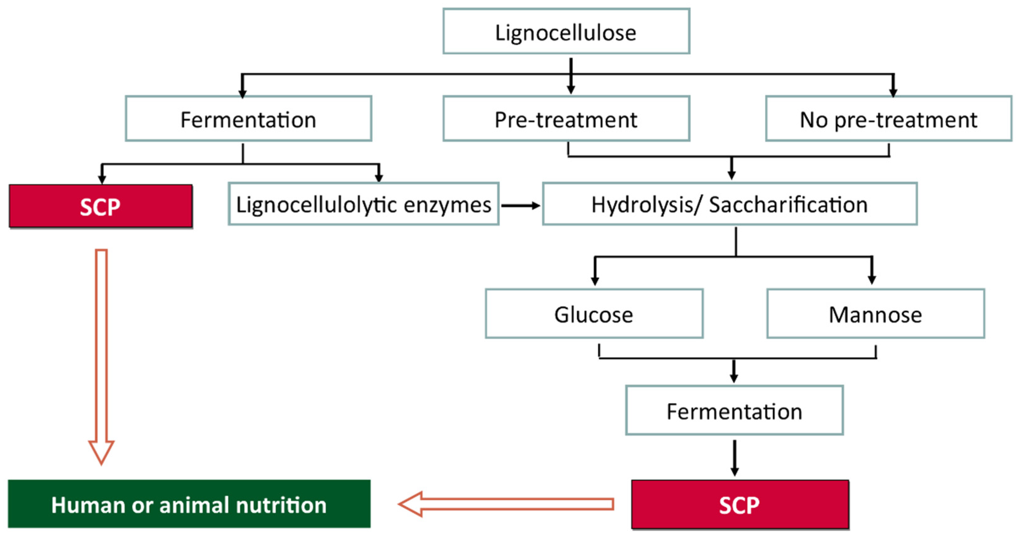 Separations 09 00178 g004 550