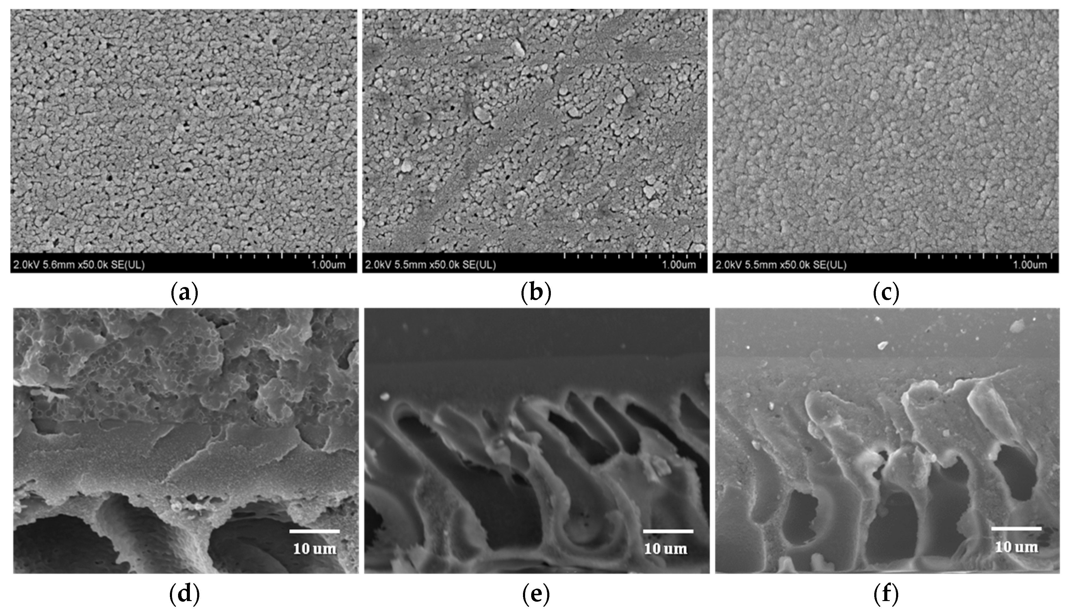 Separations 09 00180 g005