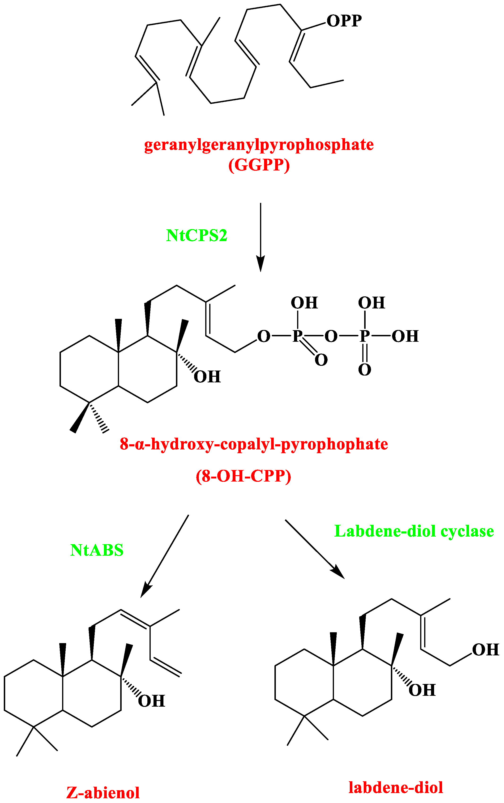 Separations 09 00187 g004 Separations 09 00187 g004