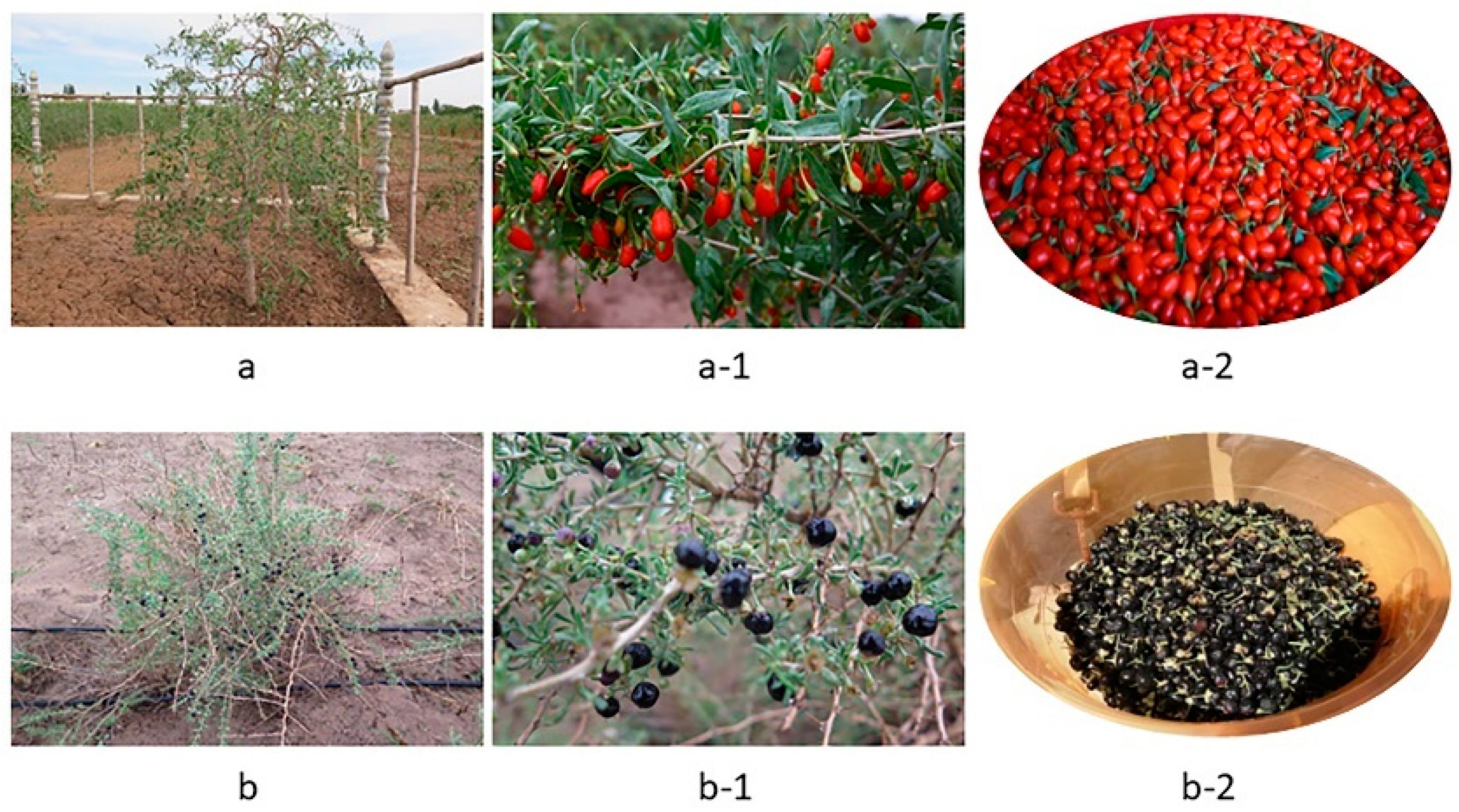 Separations 09 00197 g001 550