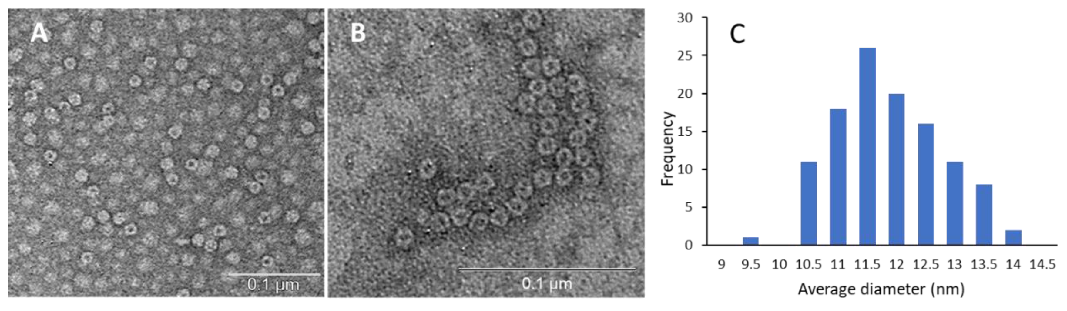 Separations 09 00222 g004