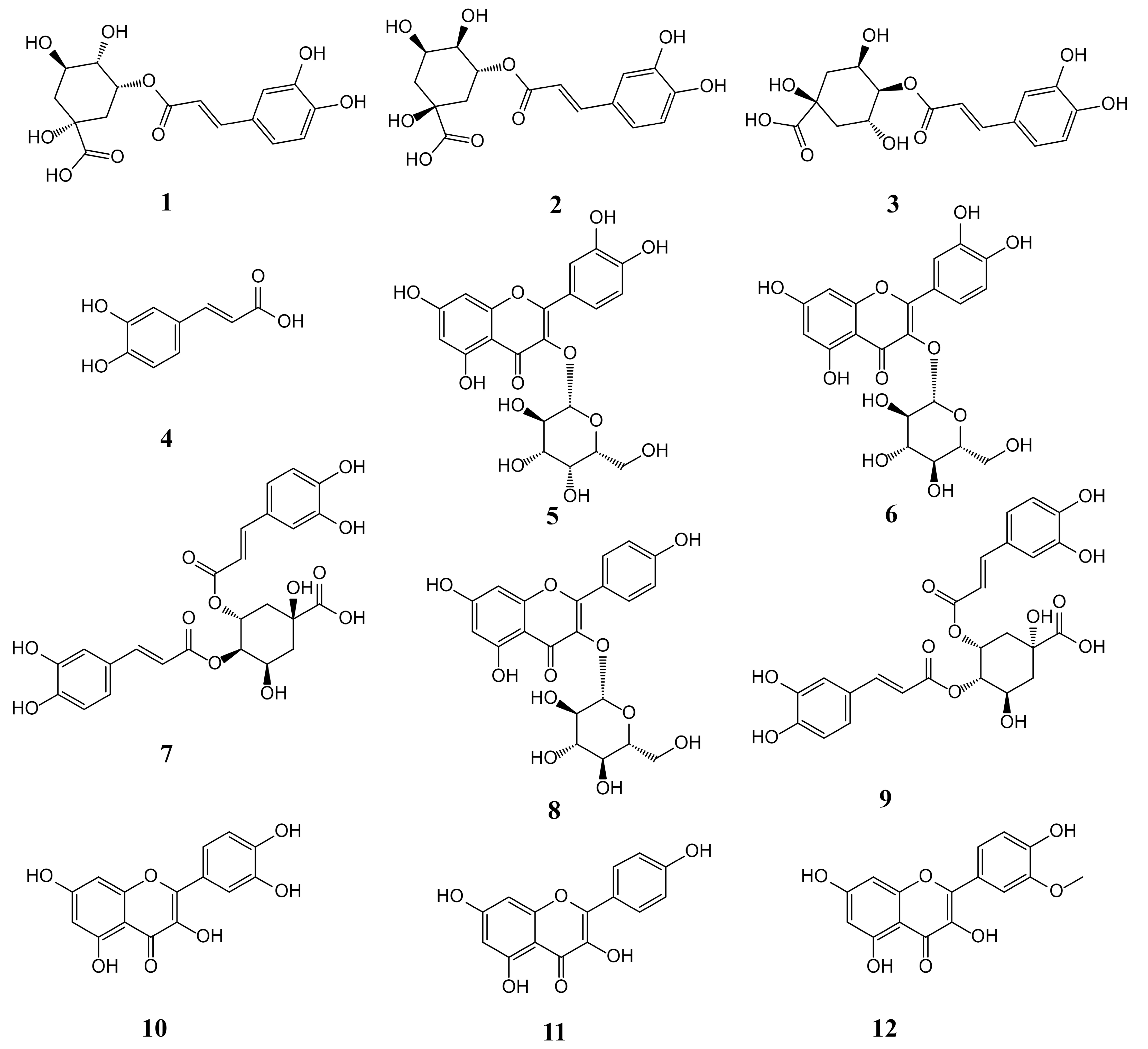 Separations 09 00231 g001