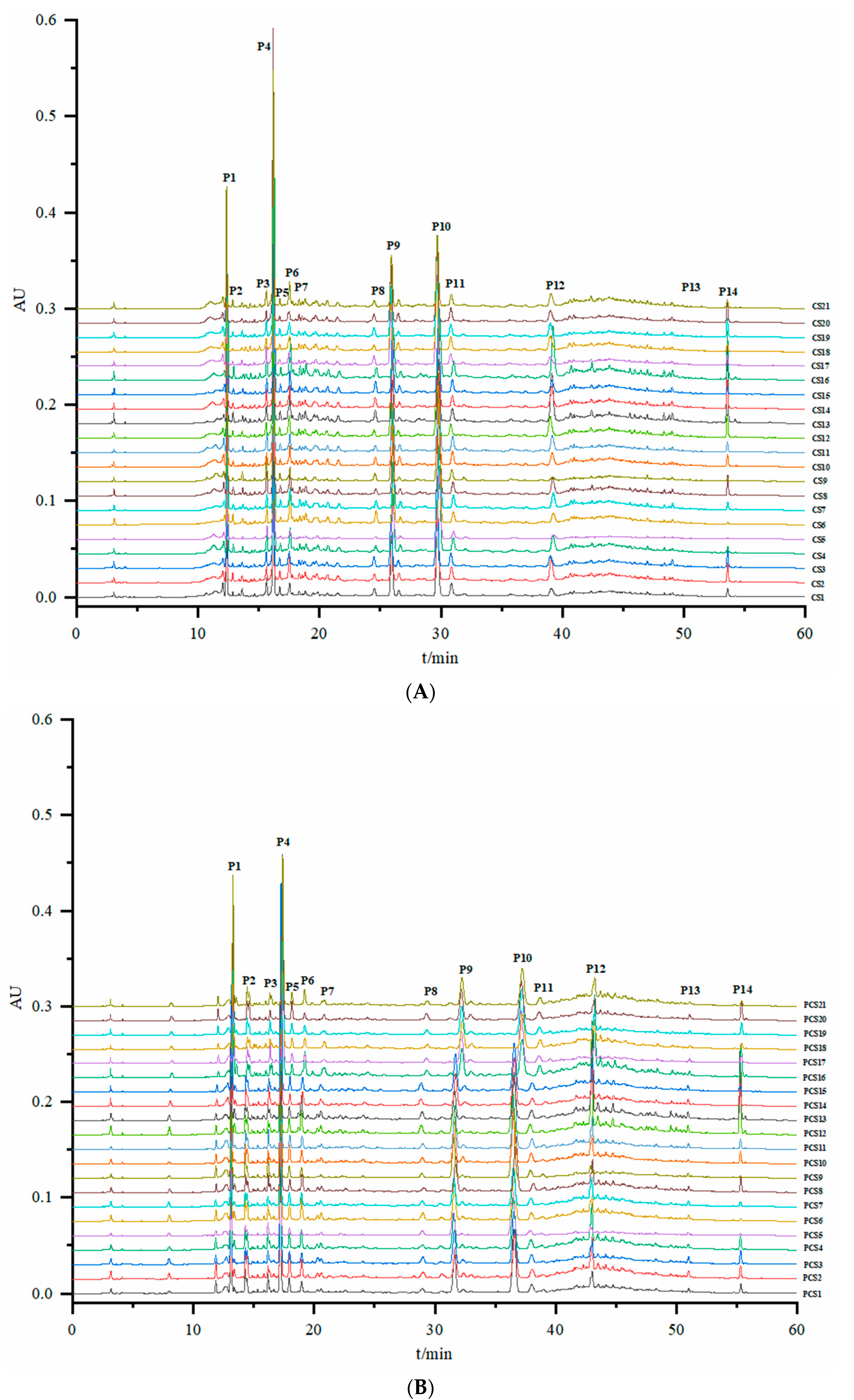 Figure2. The chromatographic fingerprints of the 21 batches of CS (A) and PCS (B) samples.