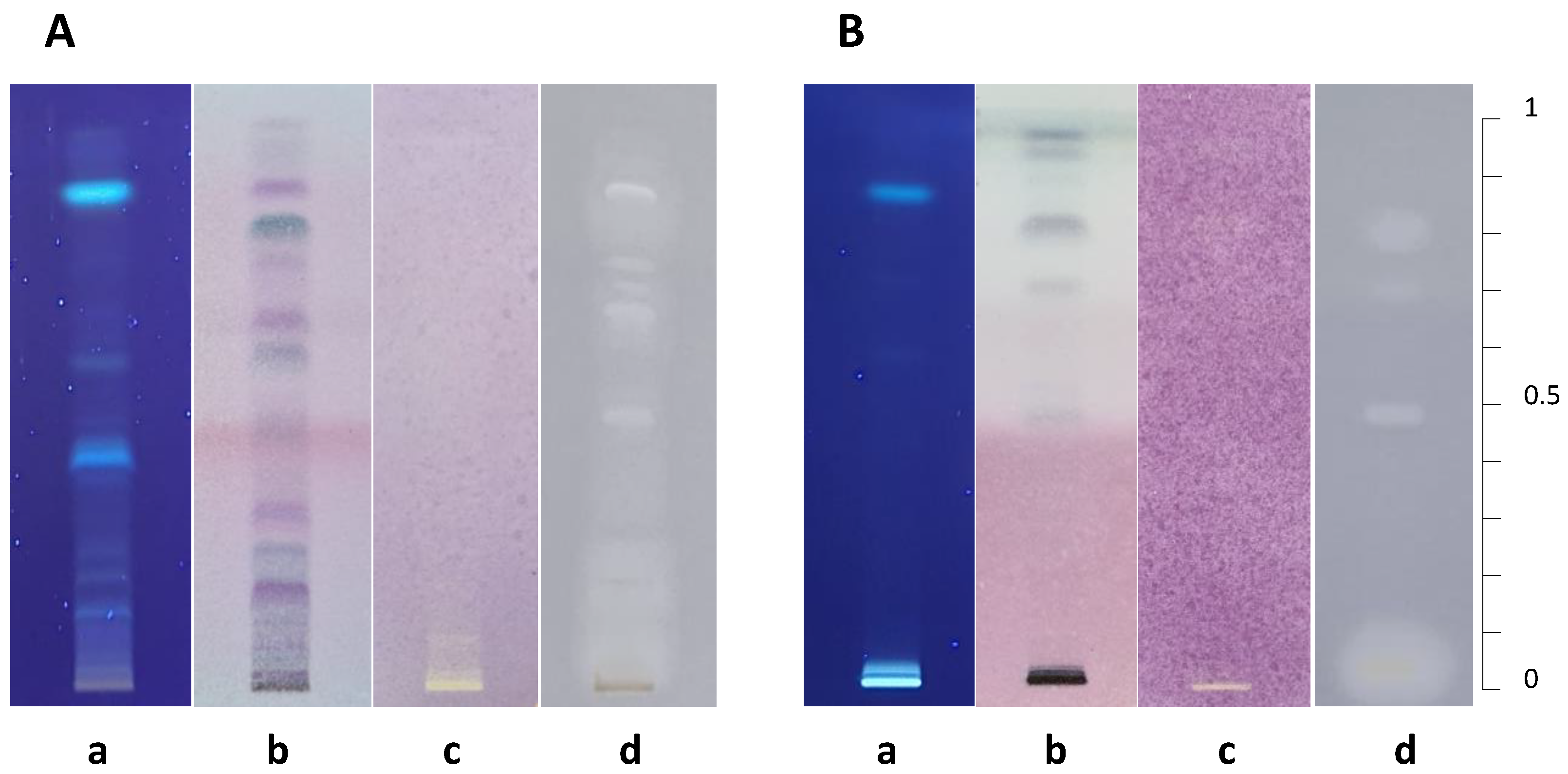 Separations Free FullText Development of an EnzymeBased Thin