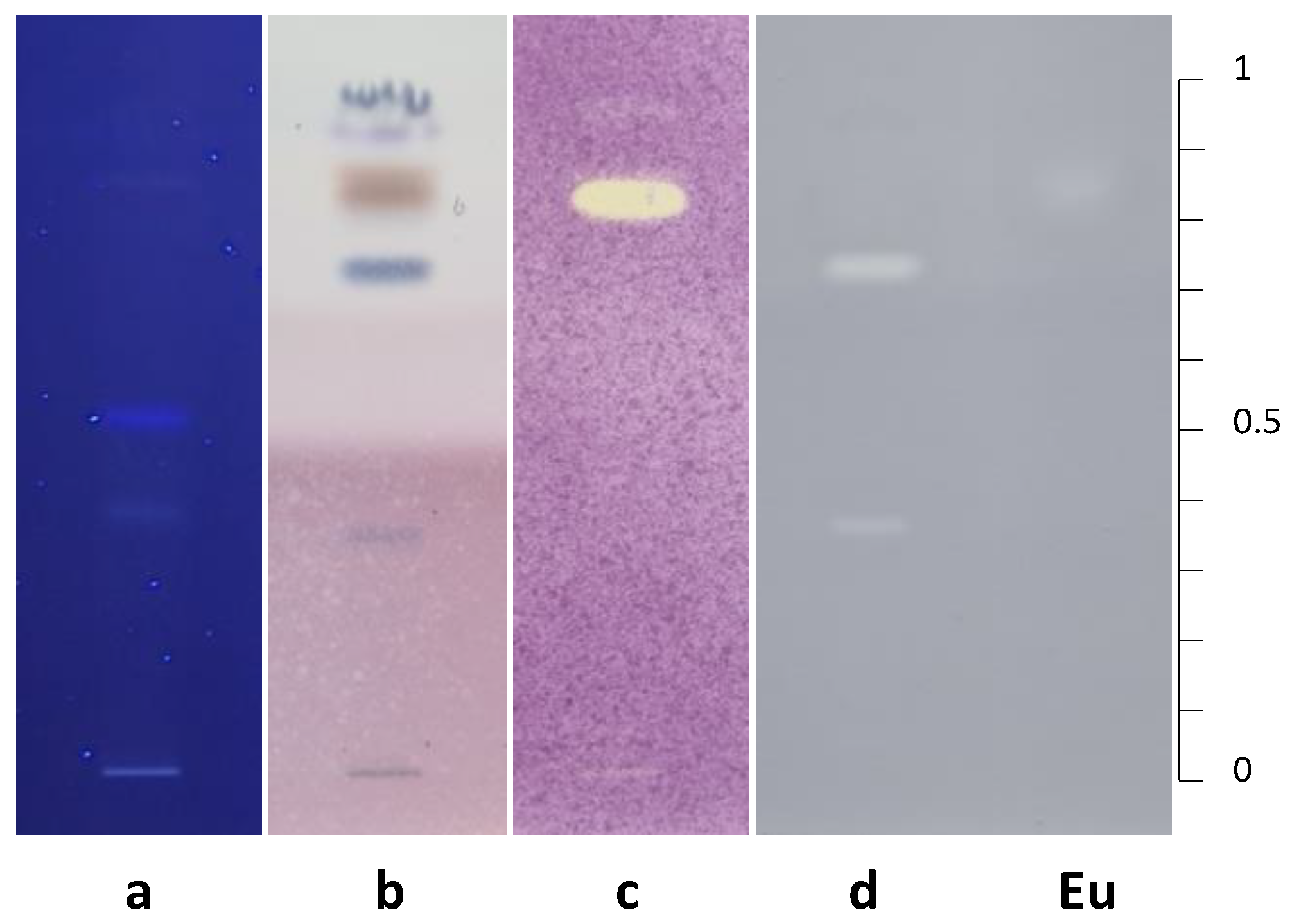 Separations 09 00238 g004 550