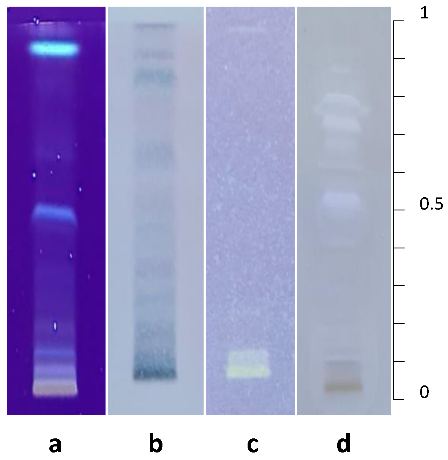 Separations 09 00238 g0a3 550