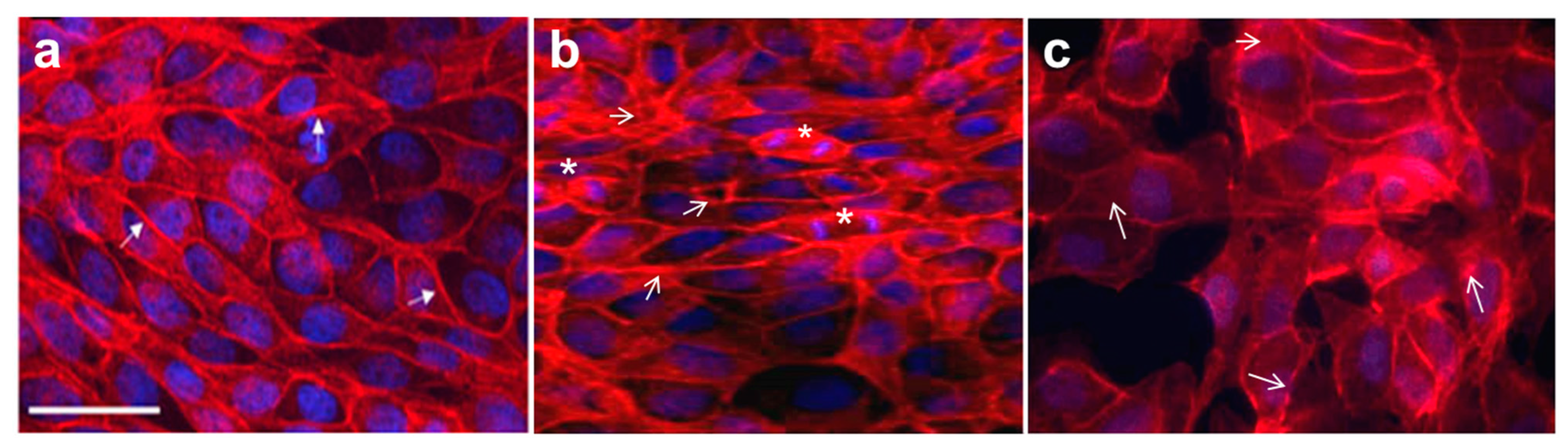 Separations 09 00239 g002 Separations 09 00239 g002