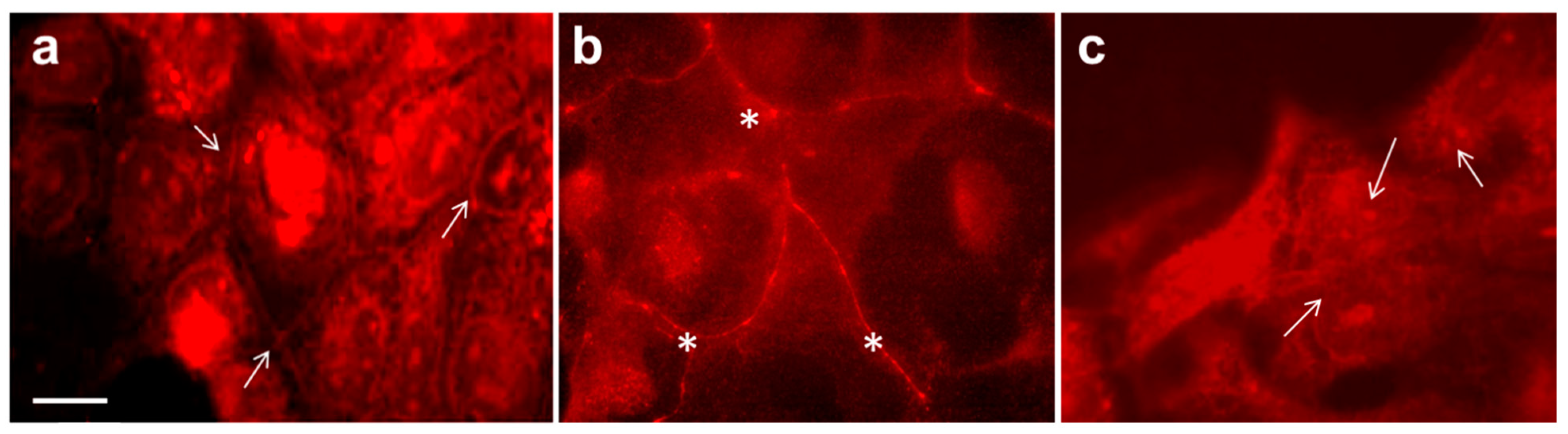 Separations 09 00239 g003 Separations 09 00239 g003