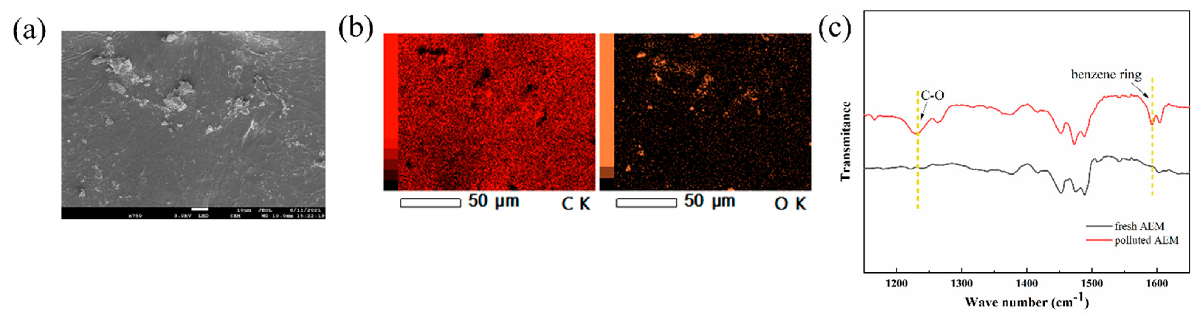 Separations 09 00241 g009