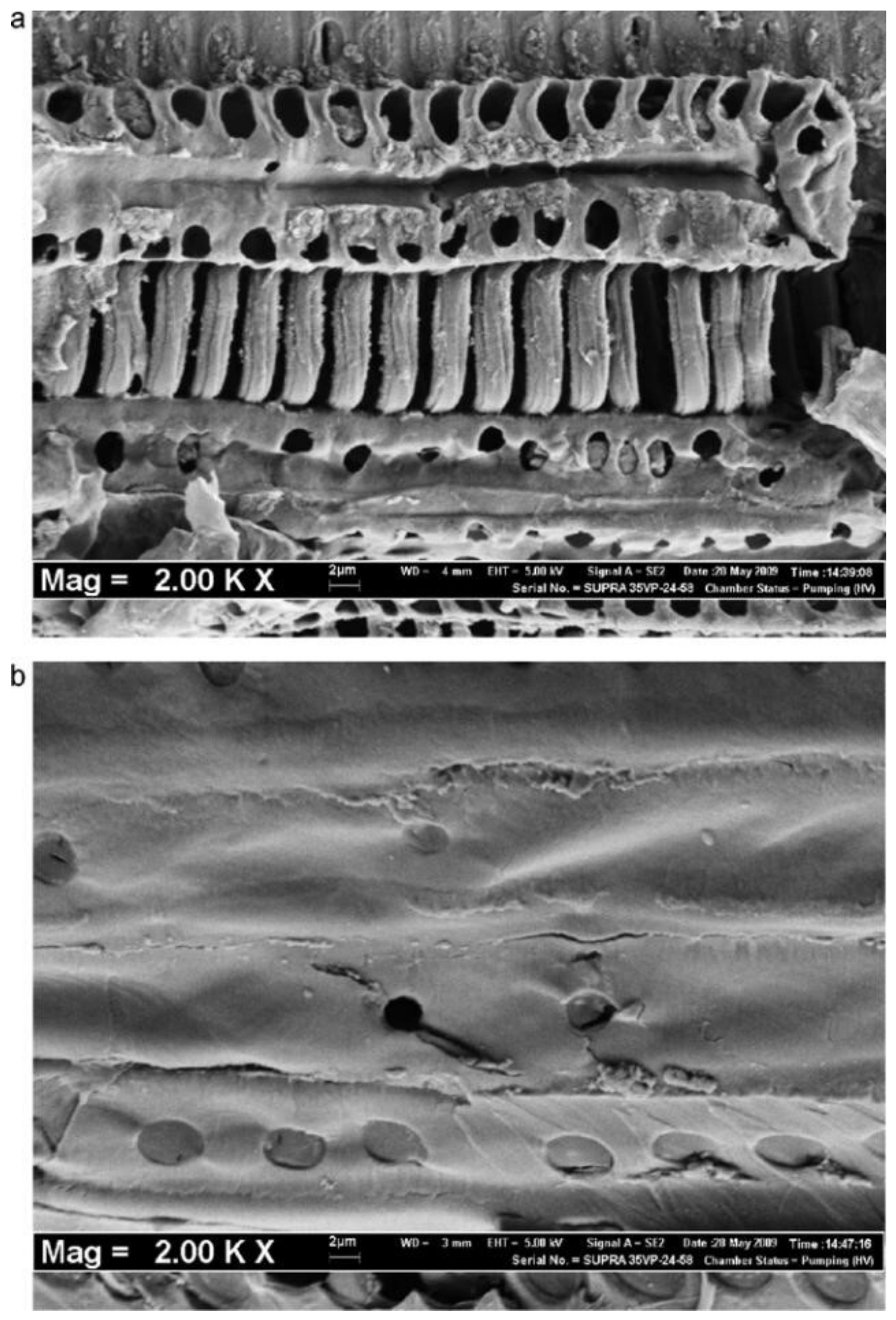 Separations 09 00256 g007 Separations 09 00256 g007
