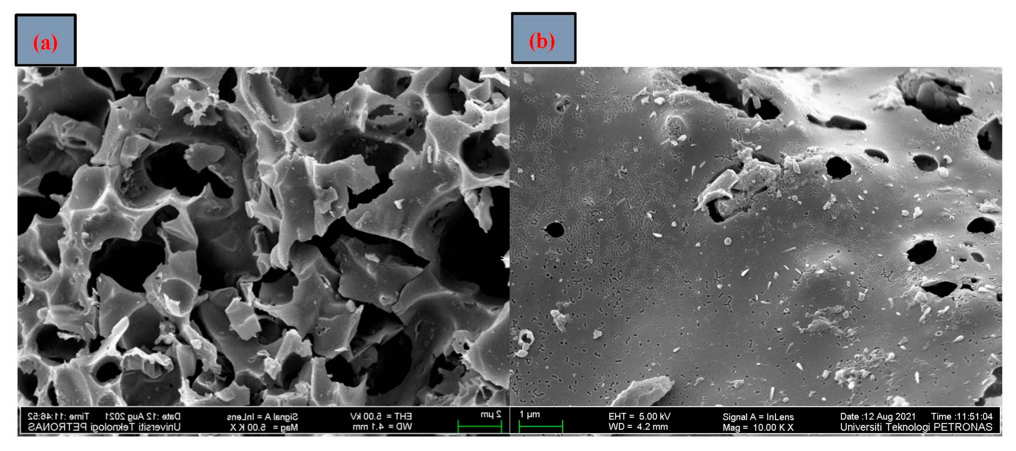 Separations 09 00258 g002