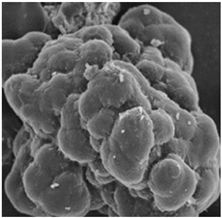 Separations 09 00266 i008 Separations 09 00266 i008