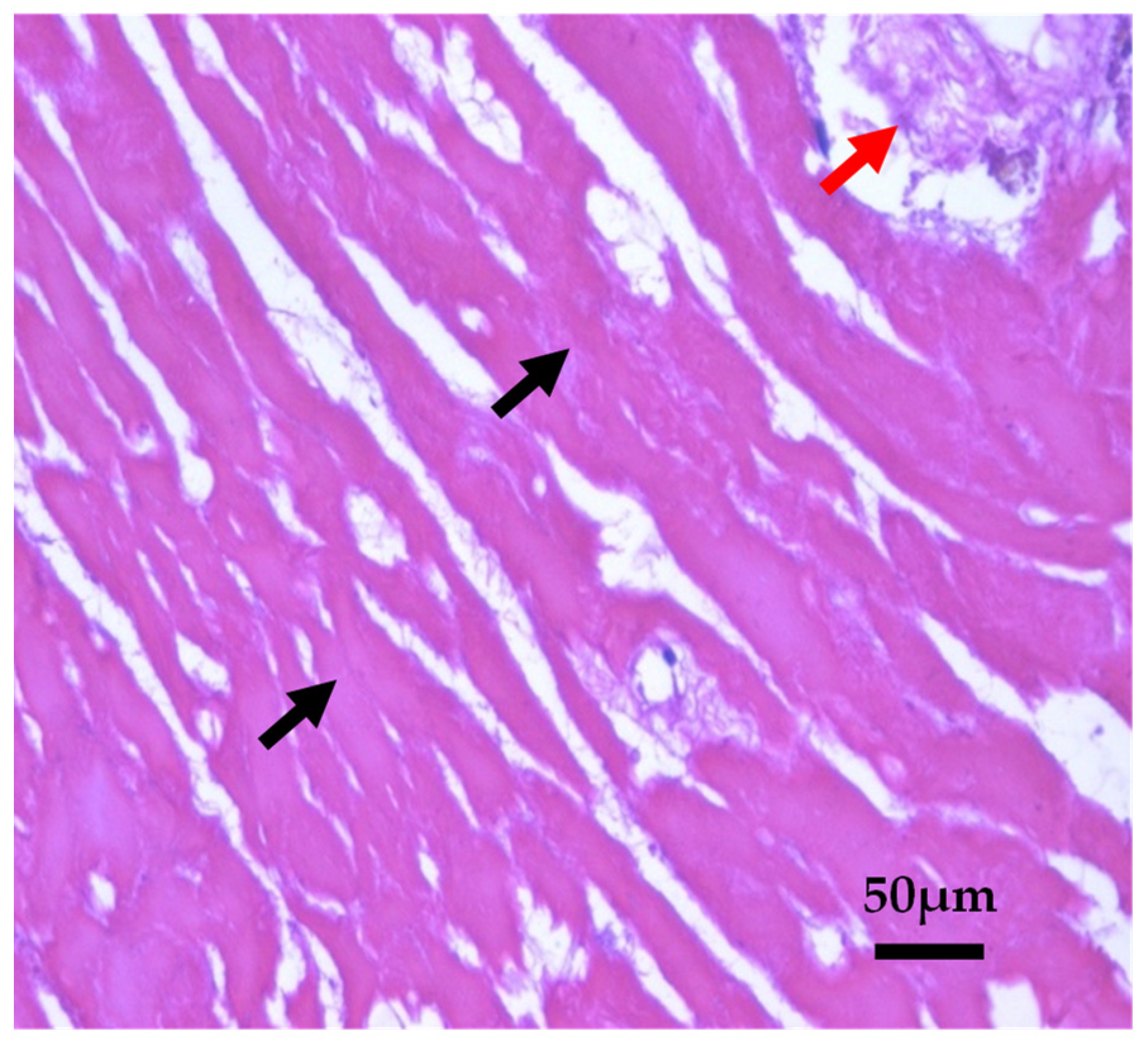 Separations 09 00277 g012