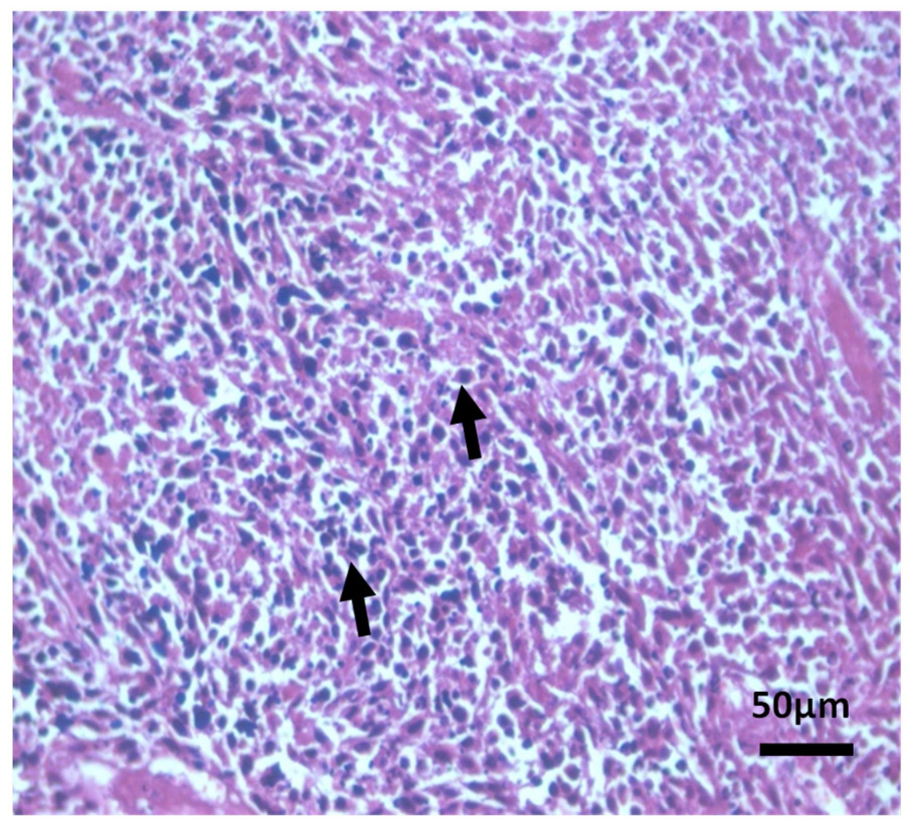 Separations 09 00277 g013