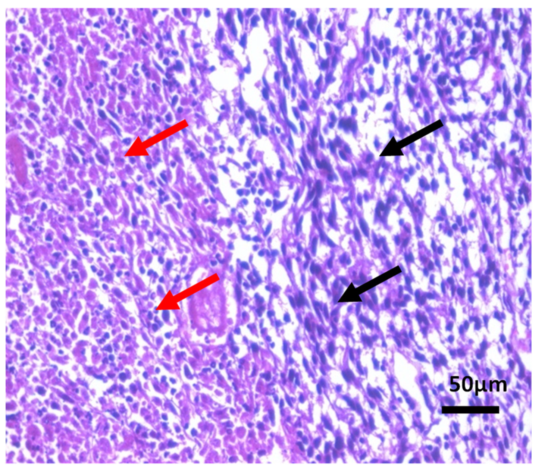 Separations 09 00277 g014