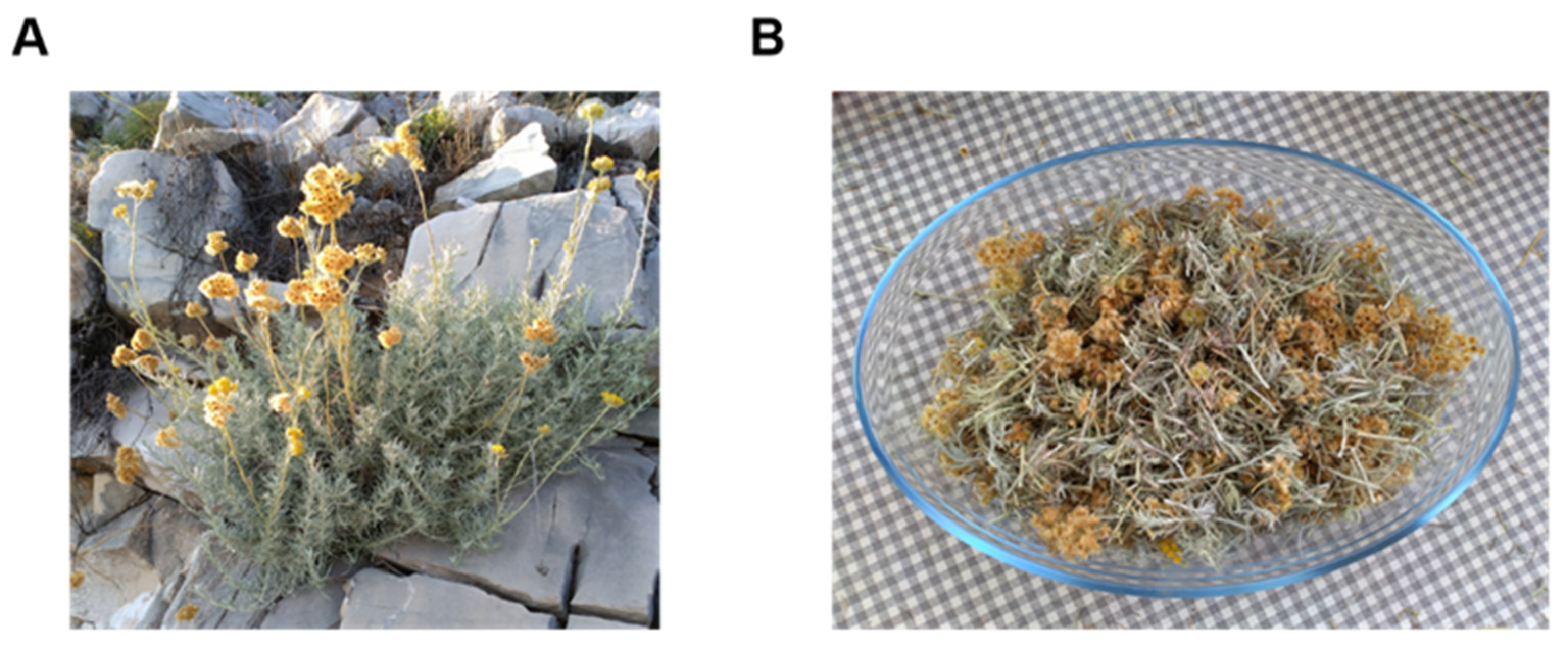 Separations 09 00280 g001