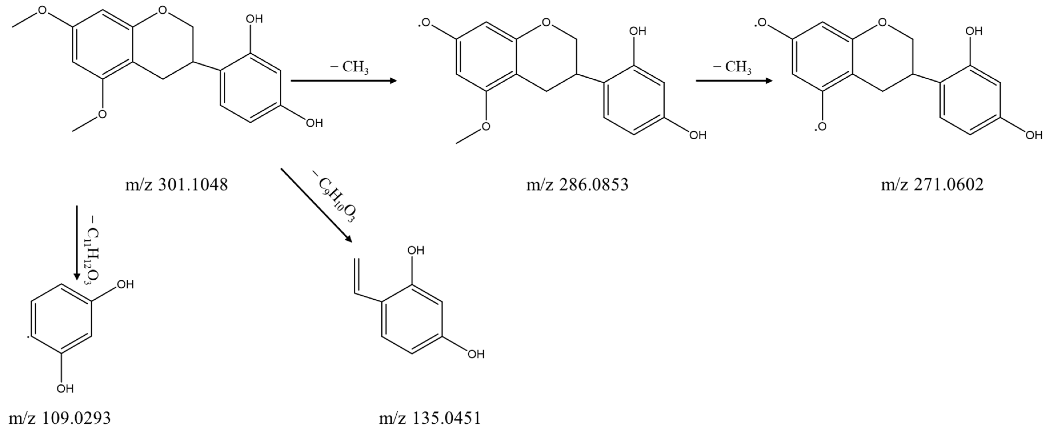 Separations 09 00297 g009