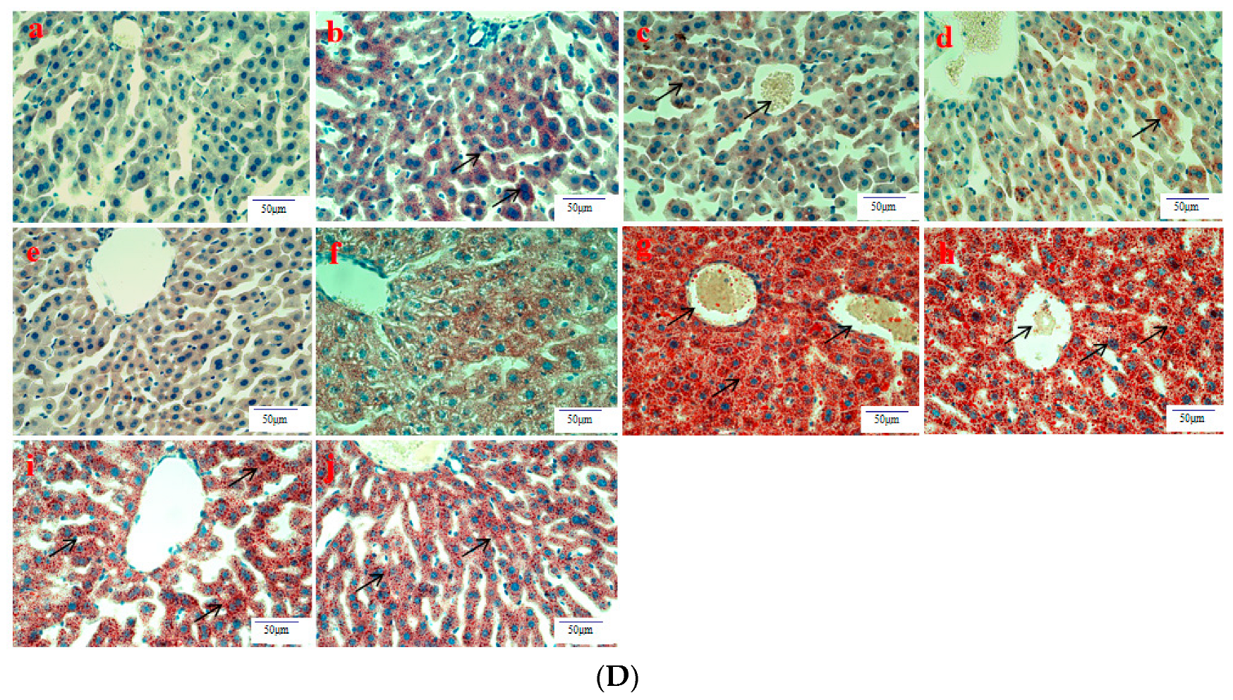 Separations 09 00321 g002b