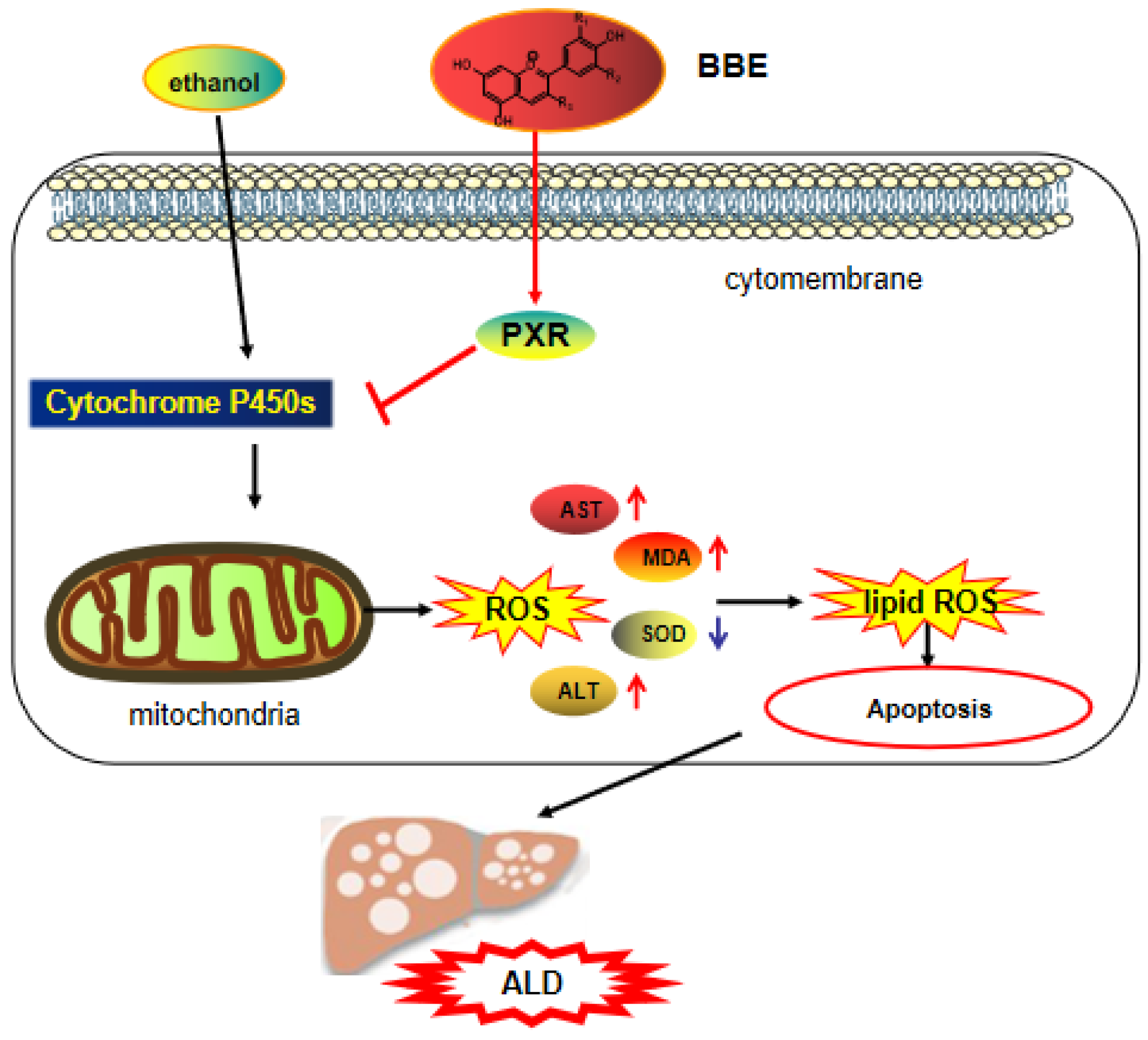Separations 09 00321 g009