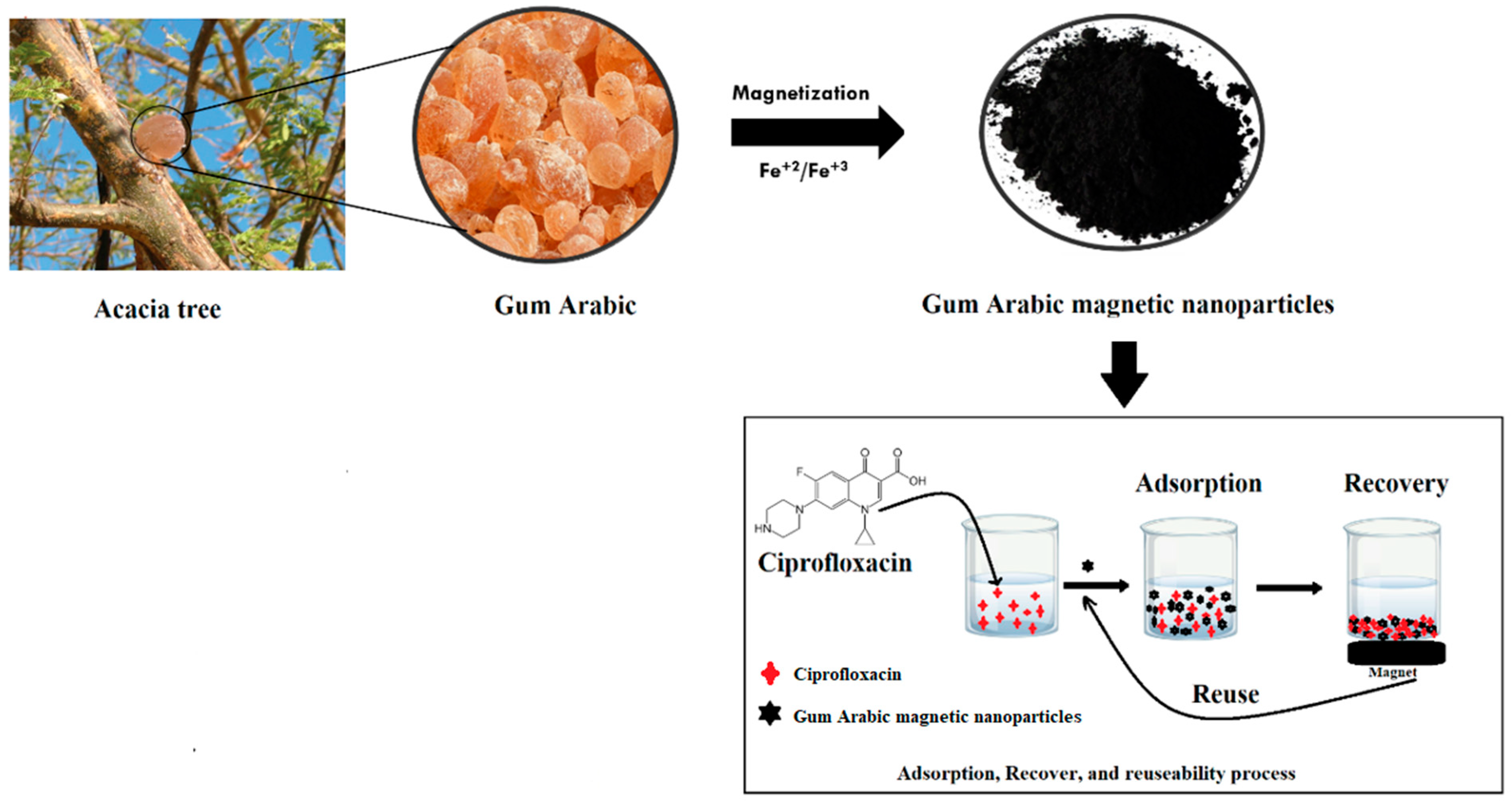 Separations 09 00322 g001 Separations 09 00322 g001