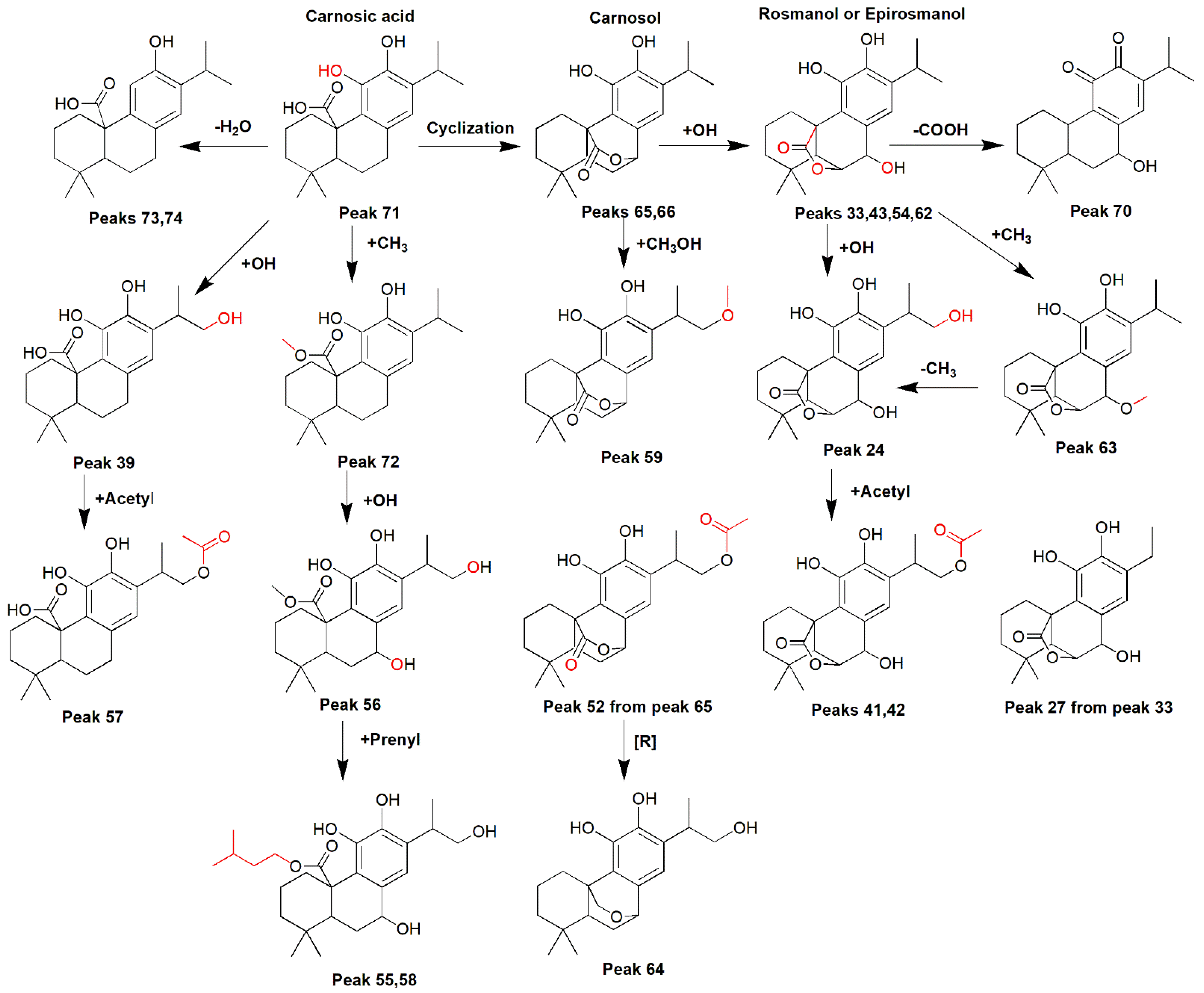 Separations 09 00327 g003 Separations 09 00327 g003