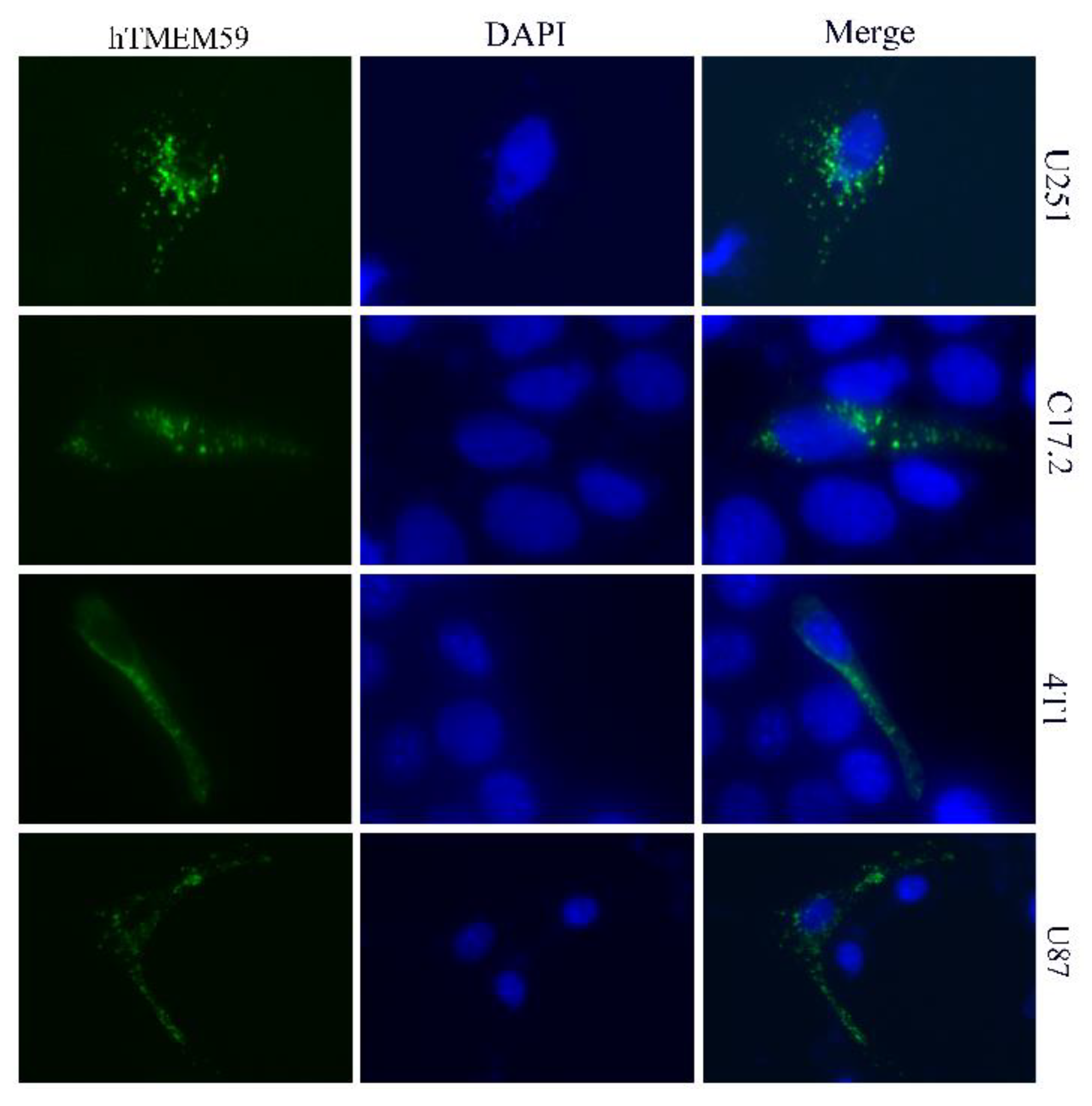 Separations 09 00341 g001