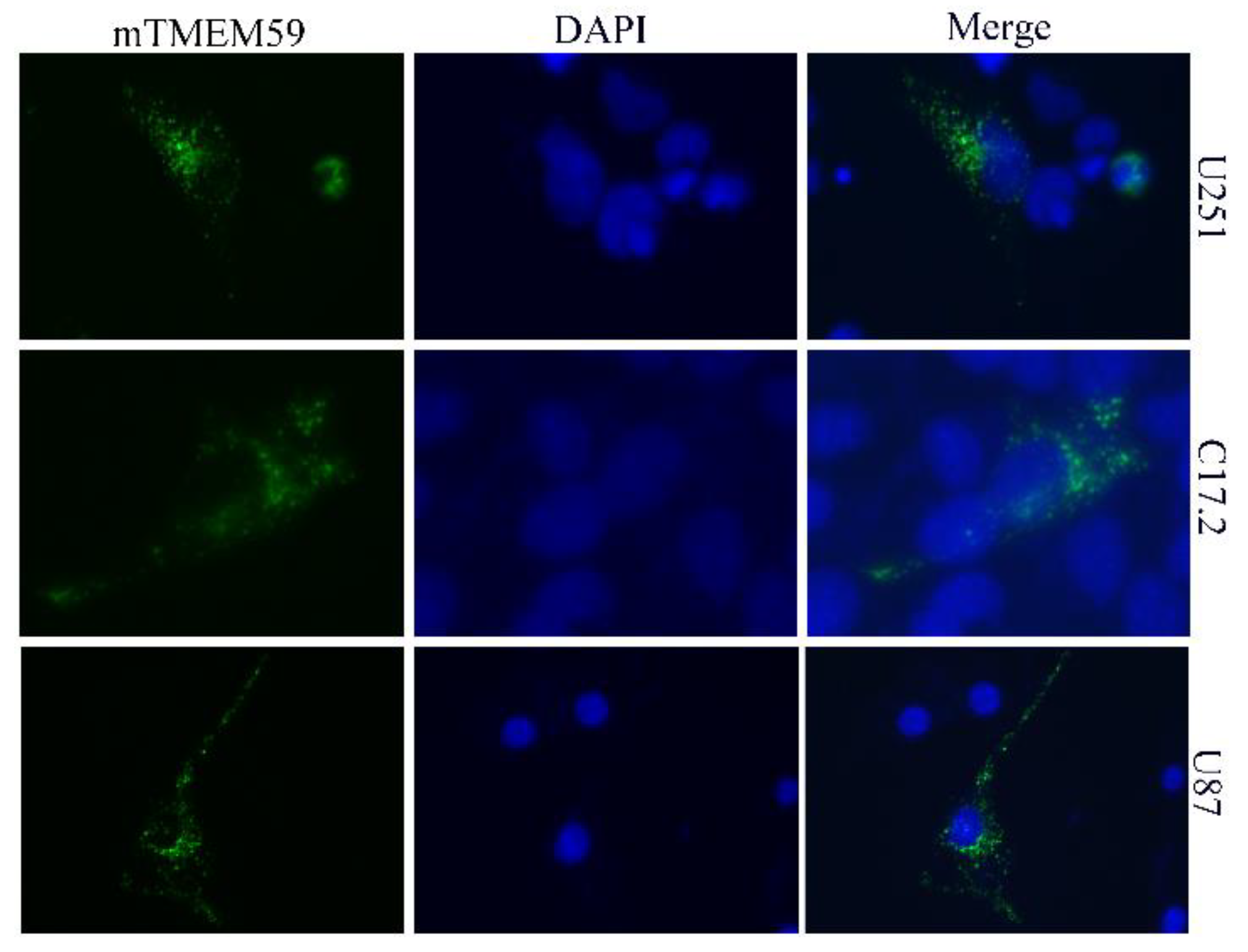 Separations 09 00341 g002