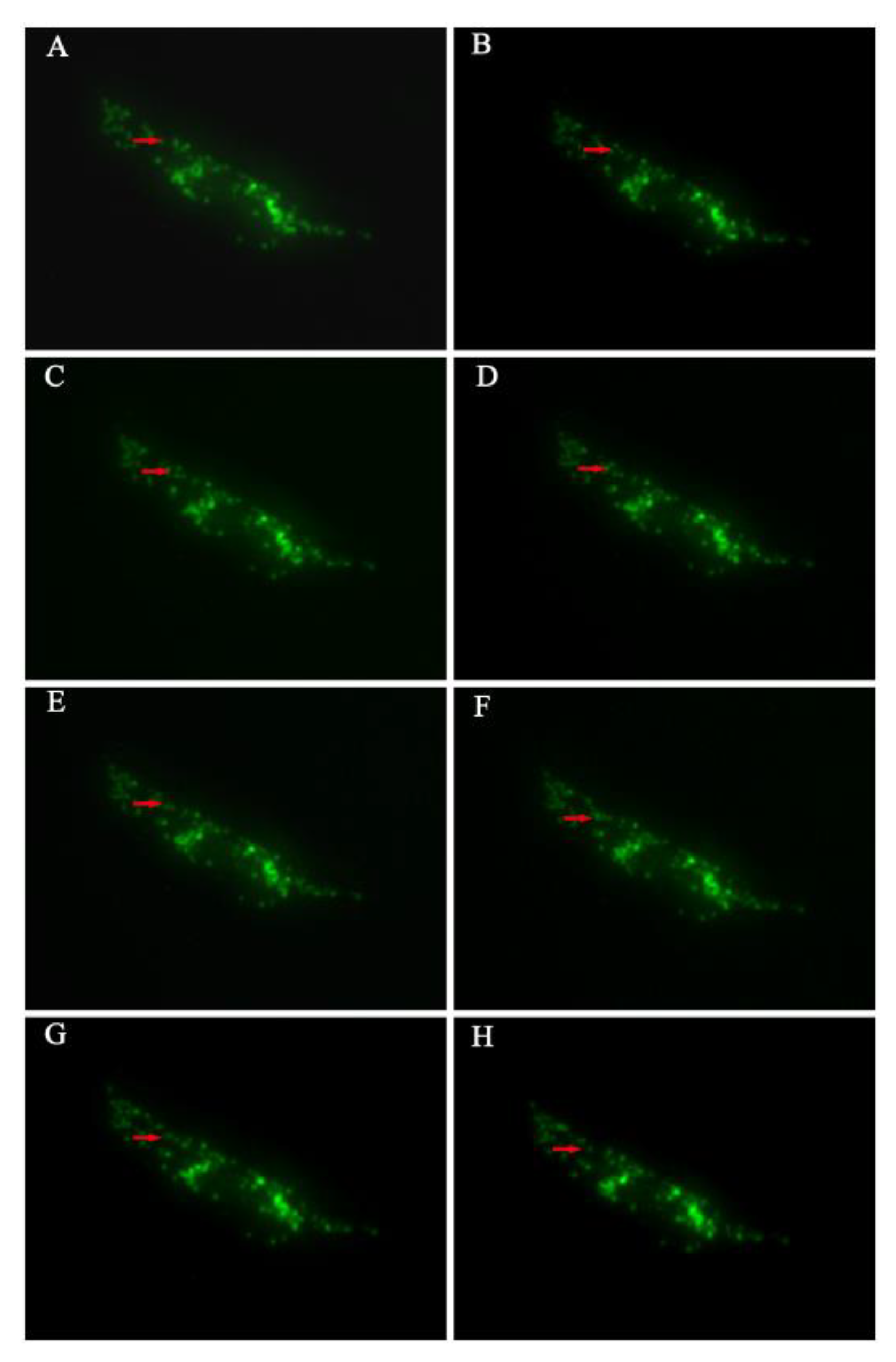 Separations 09 00341 g003