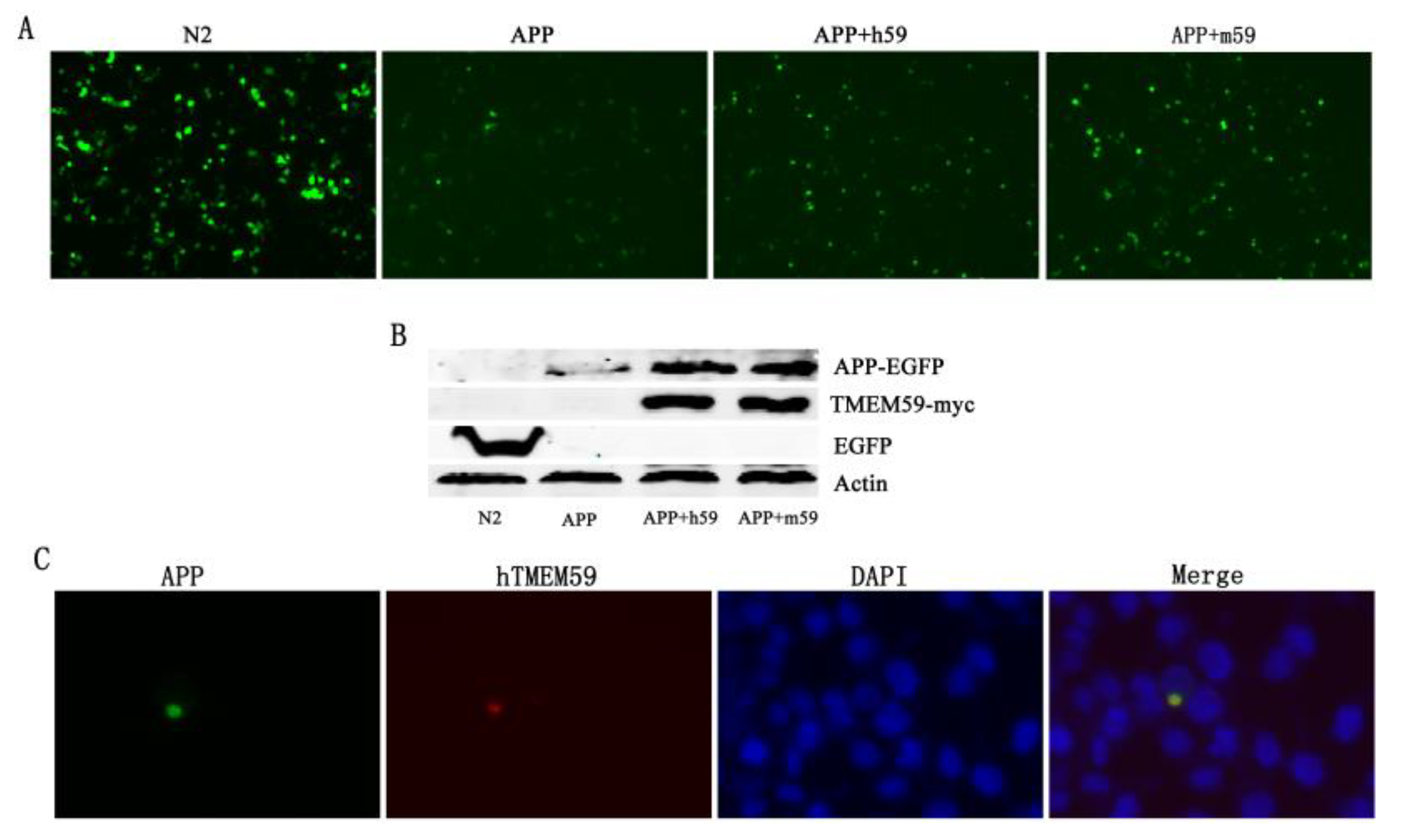 Separations 09 00341 g005