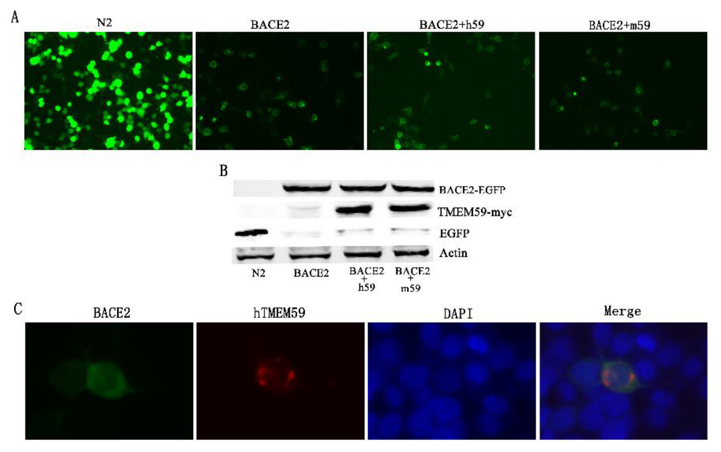 Separations 09 00341 g006