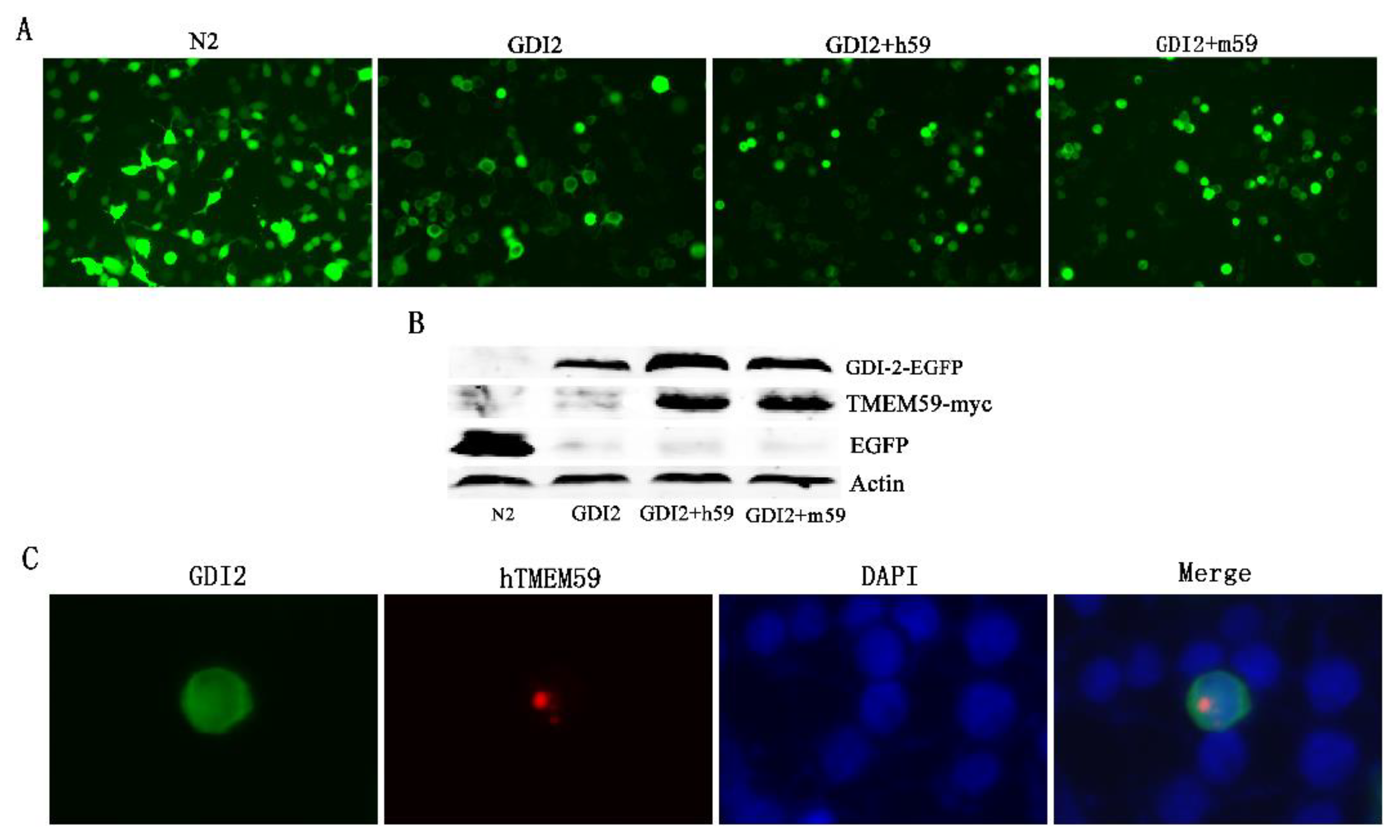 Separations 09 00341 g008