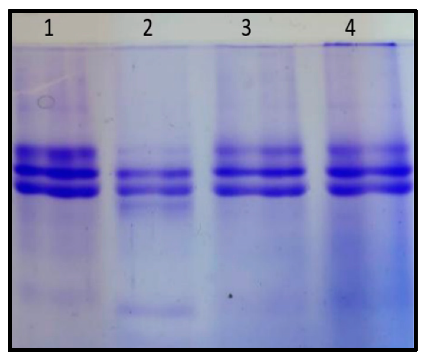 Separations 09 00360 g001