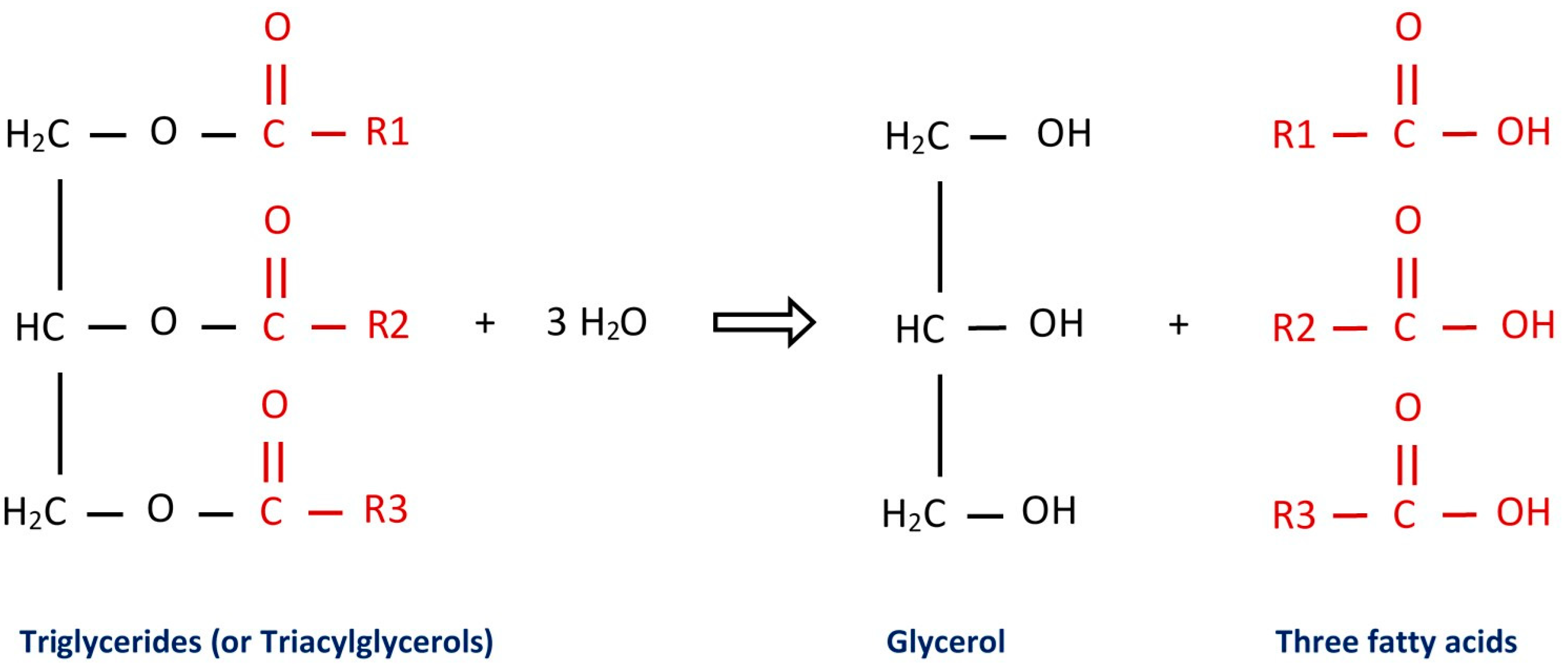 Separations 09 00366 g006