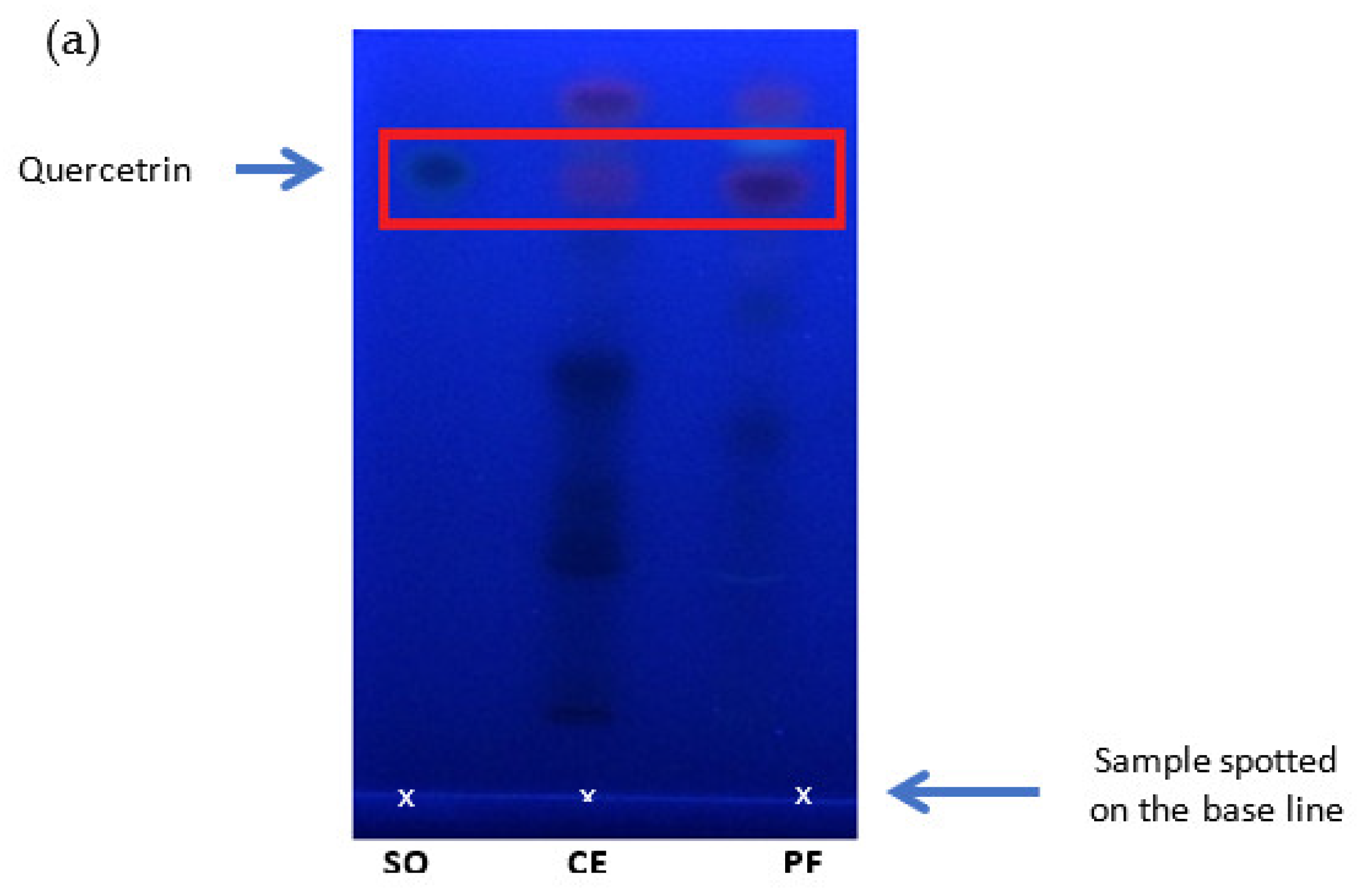 Separations 09 00373 g005a