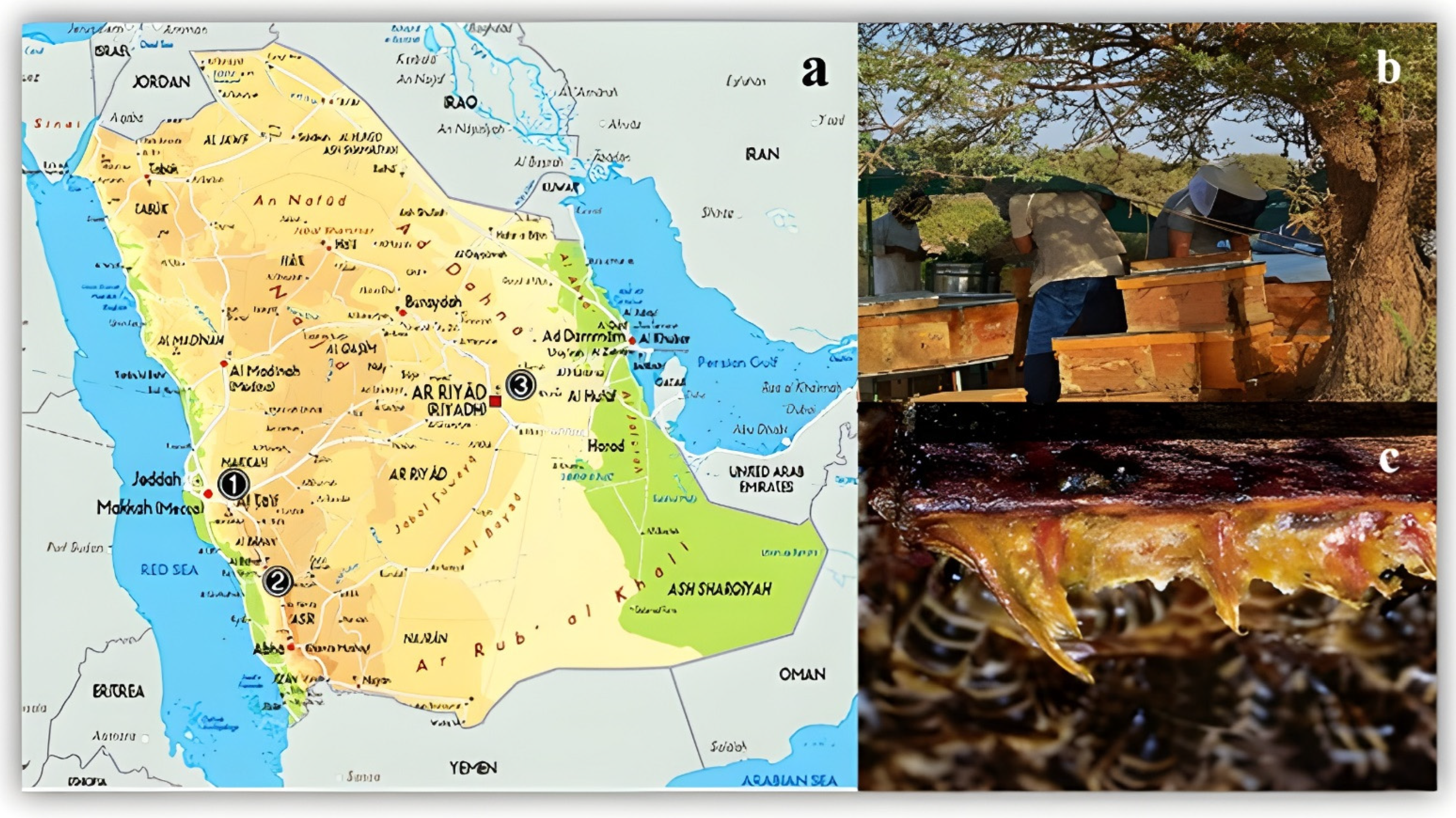 Separations 09 00392 g001 Separations 09 00392 g001