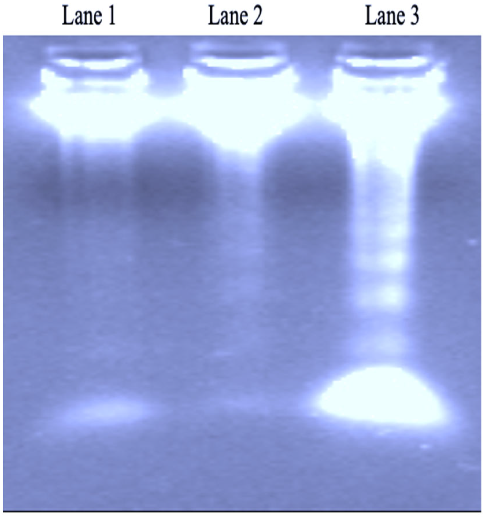 Separations 09 00393 g003