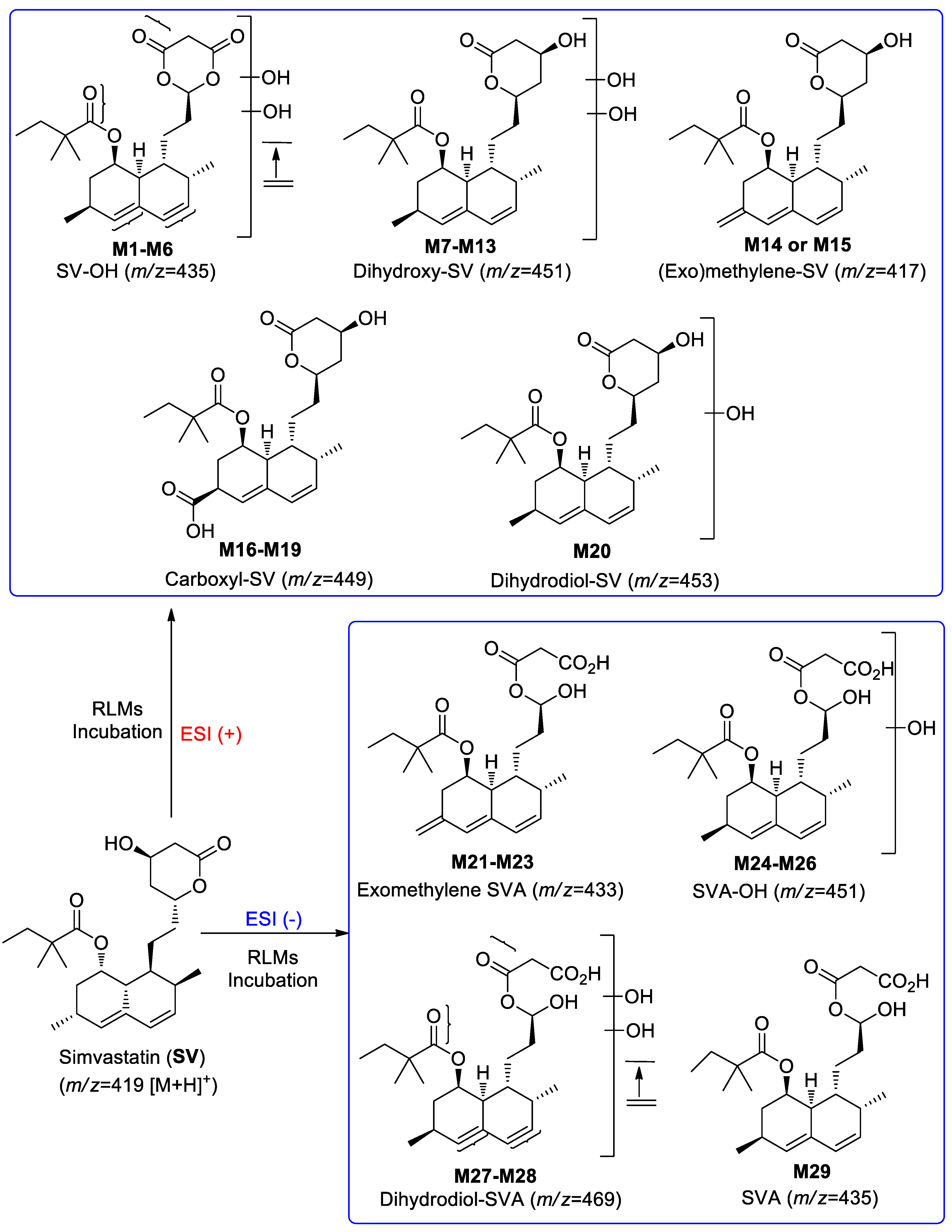 Separations 09 00400 sch002 Separations 09 00400 sch002