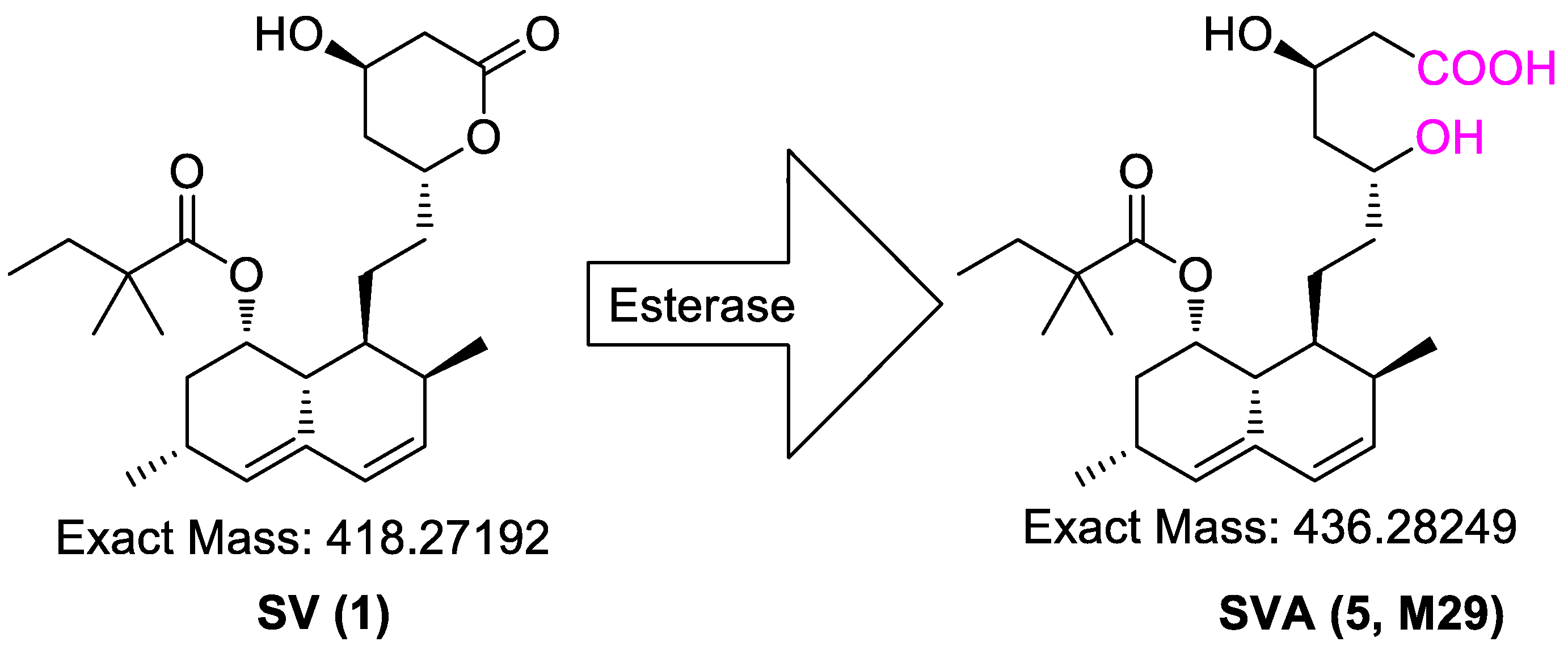 Separations 09 00400 sch003 Separations 09 00400 sch003
