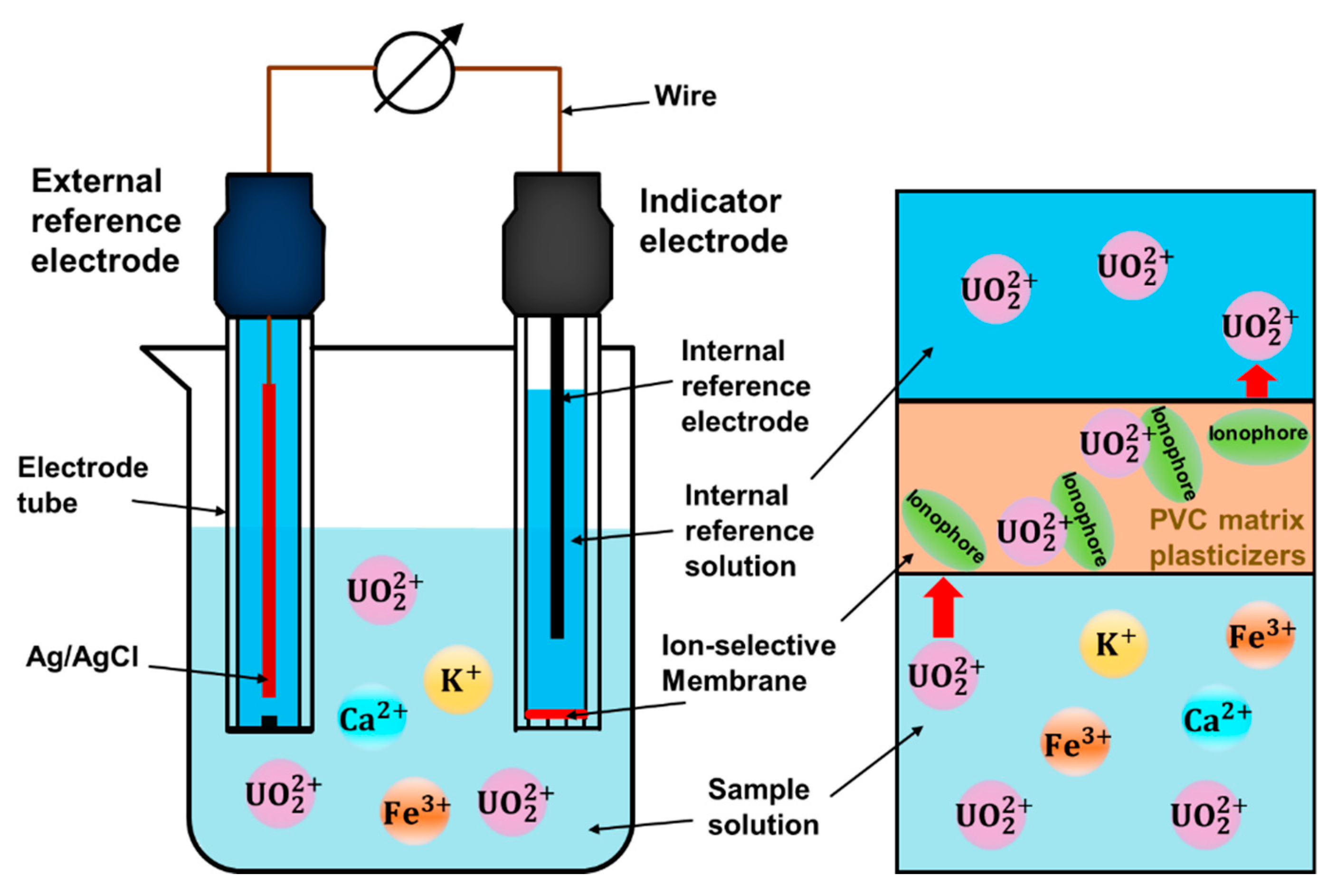 Separations 09 00404 g001