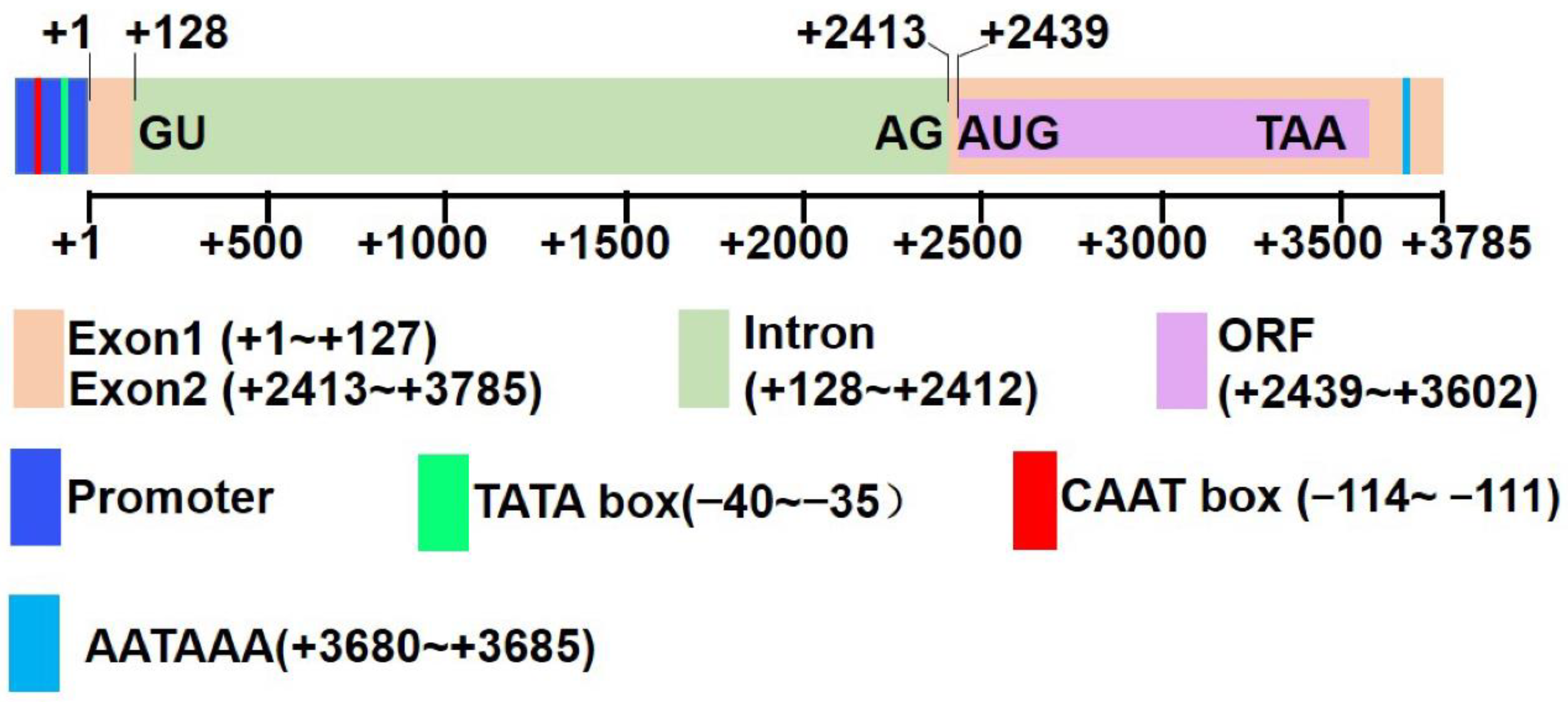 Separations 10 00002 g001 Separations 10 00002 g001